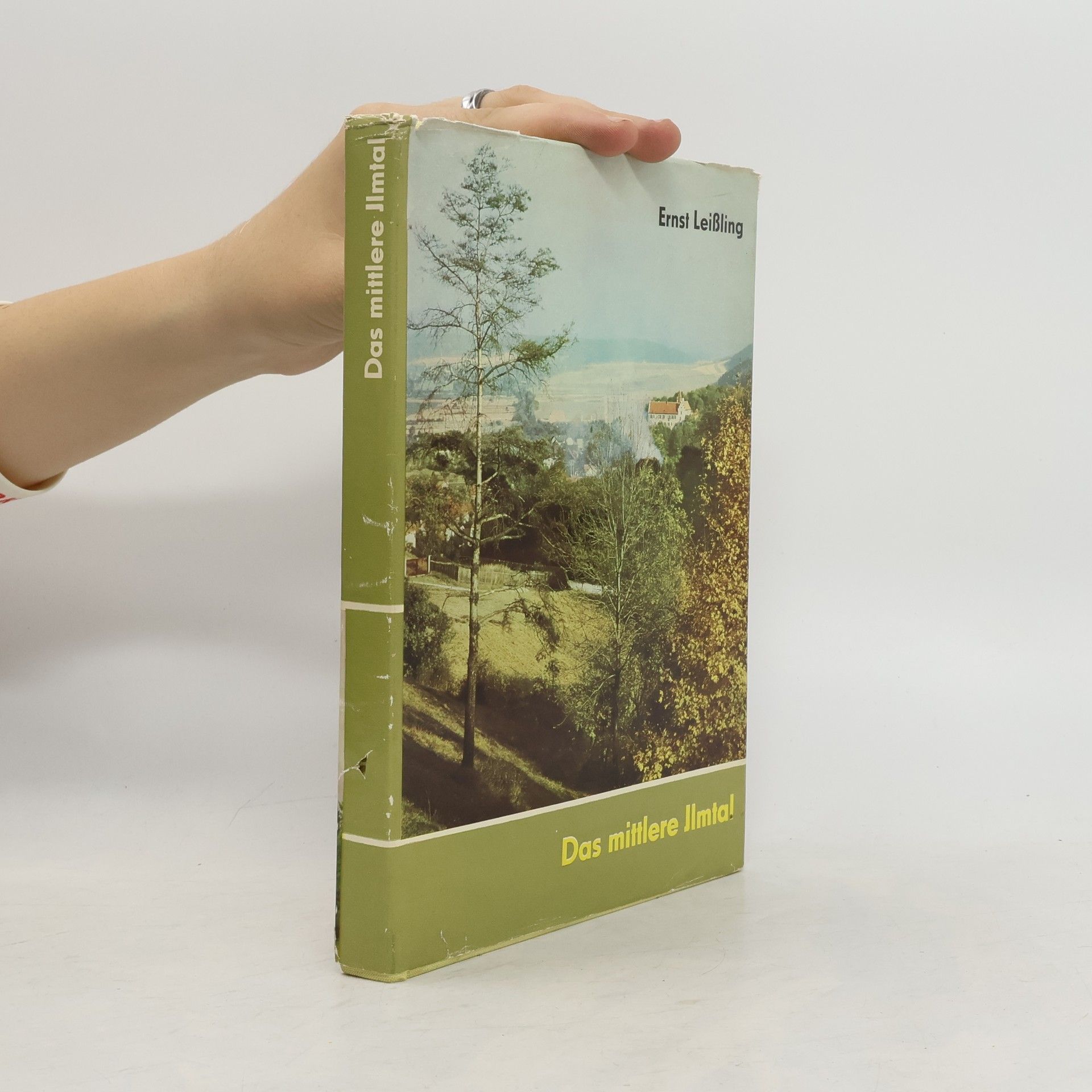 Ernst Leißling Das mittlere Jlmtal