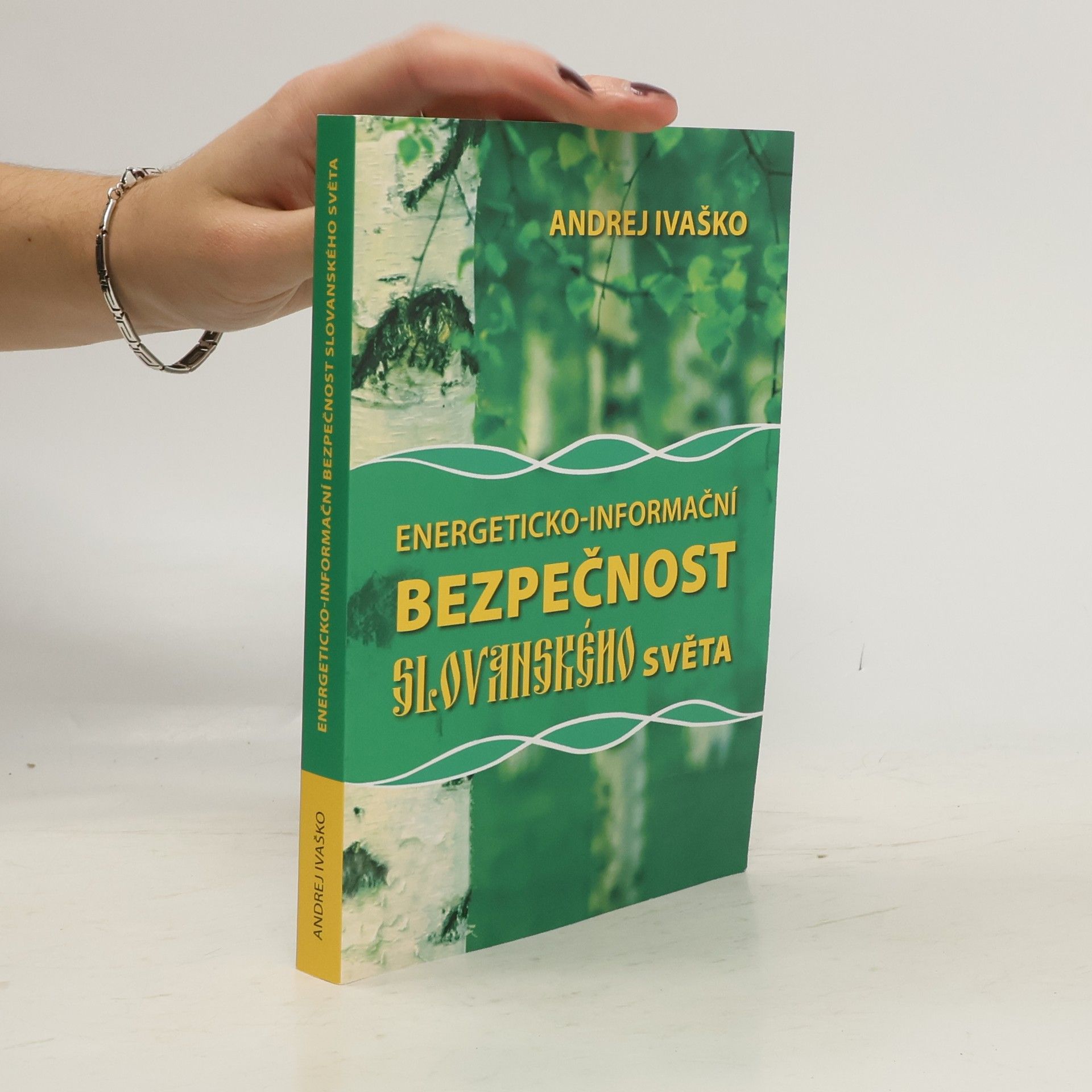 Energeticko-informační bezpečnost slovanského světa