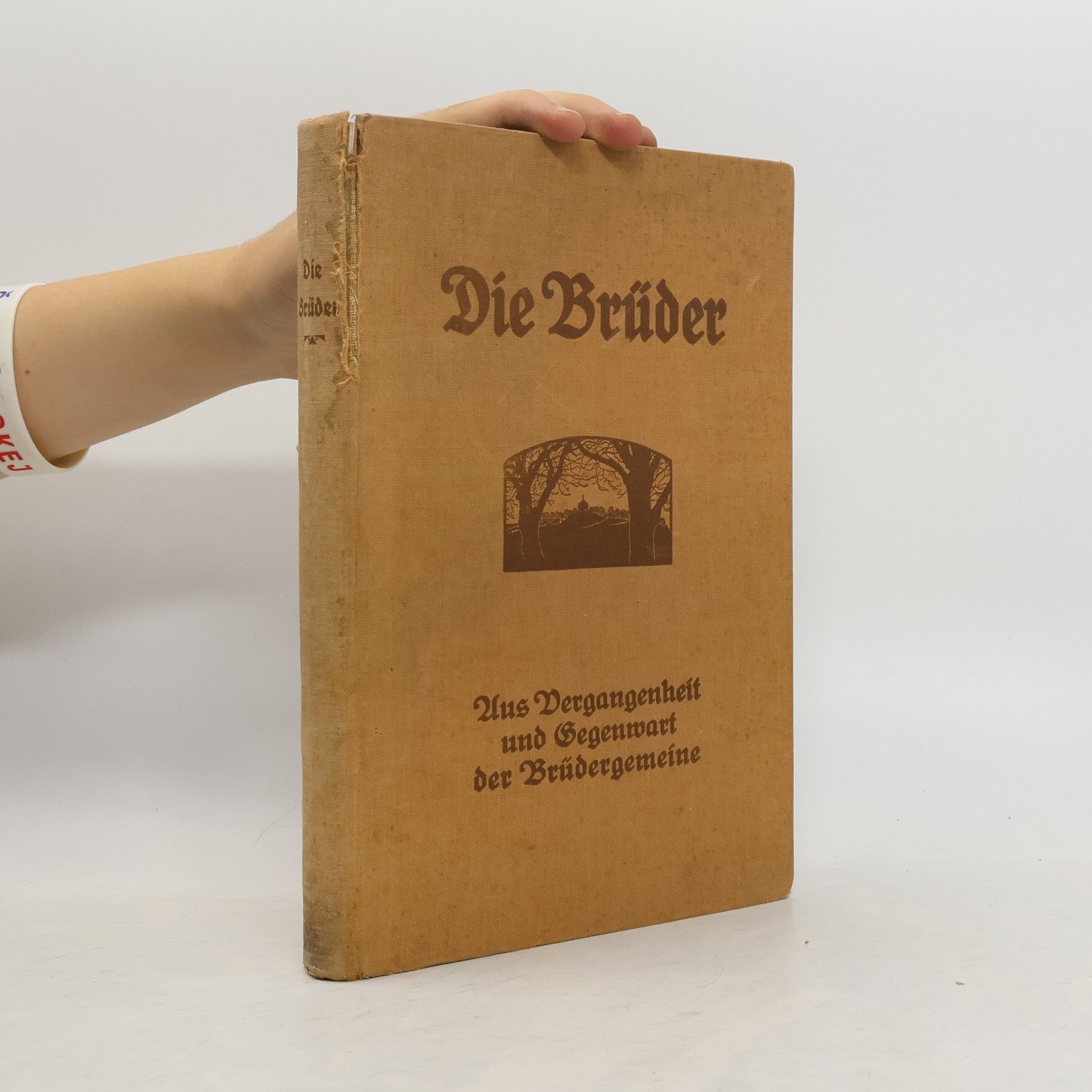 Collectif d'auteurs Die Brüder