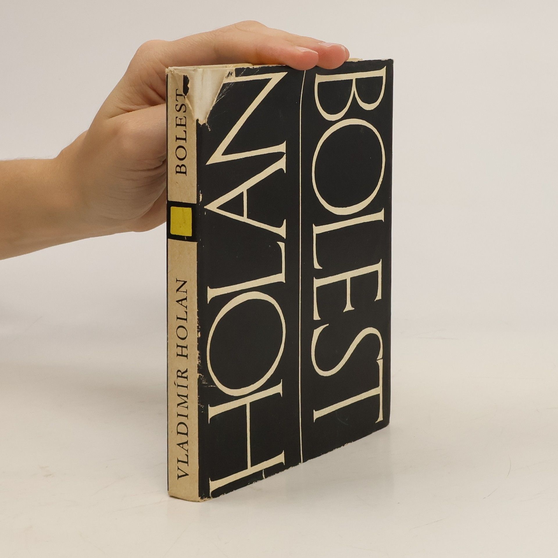 Vladimír Holan Bolest