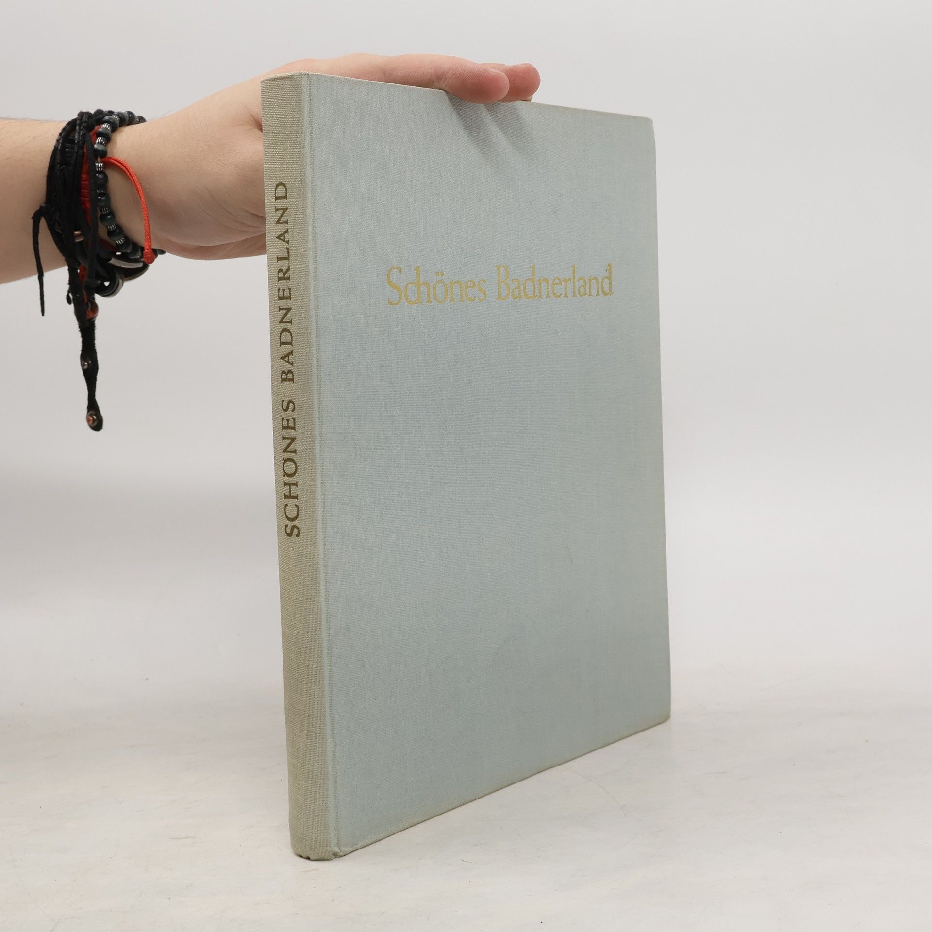 Kolektív autorov Schönes Badnerland