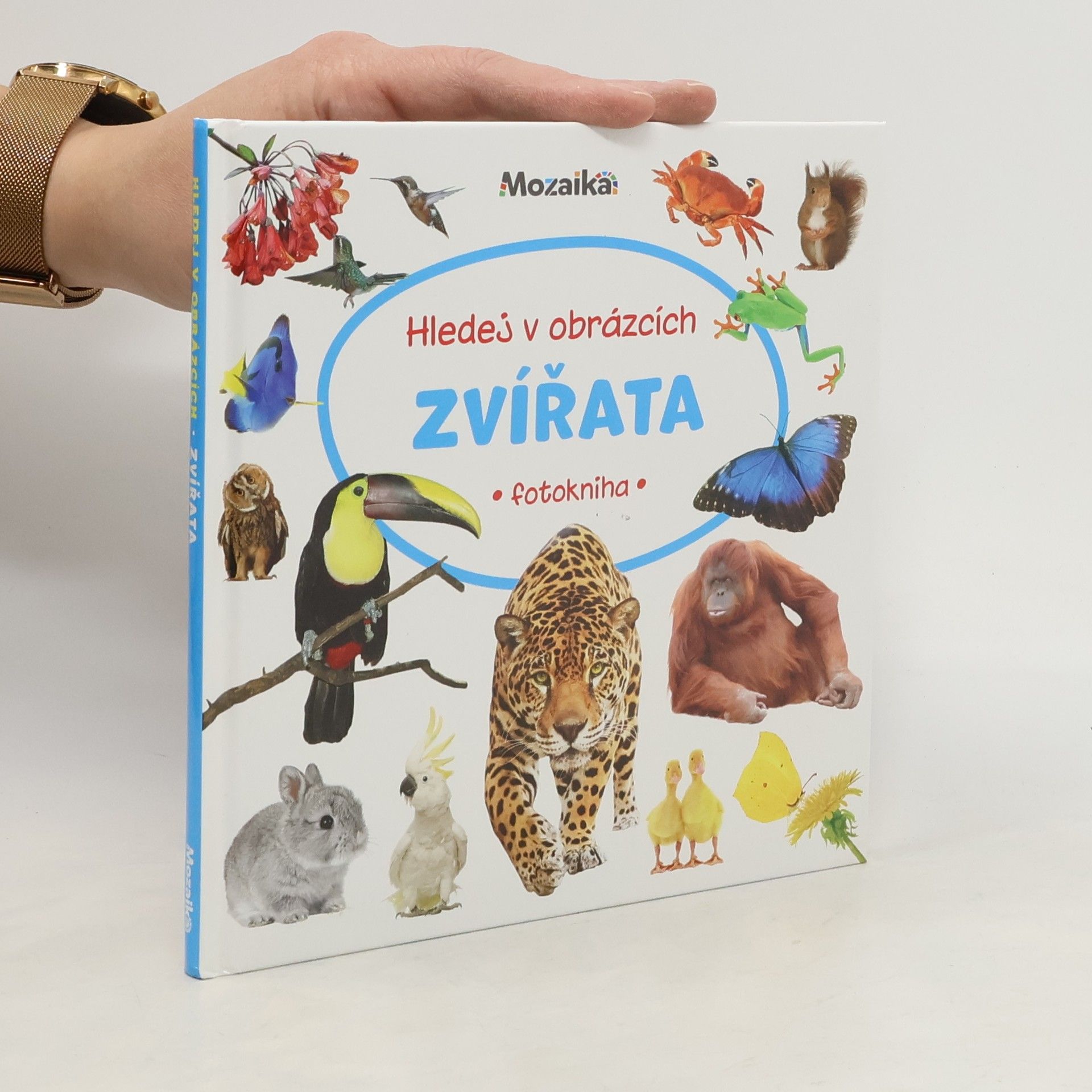 Collectif d'auteurs Hledej v obrázcích: Zvířata (fotokniha)