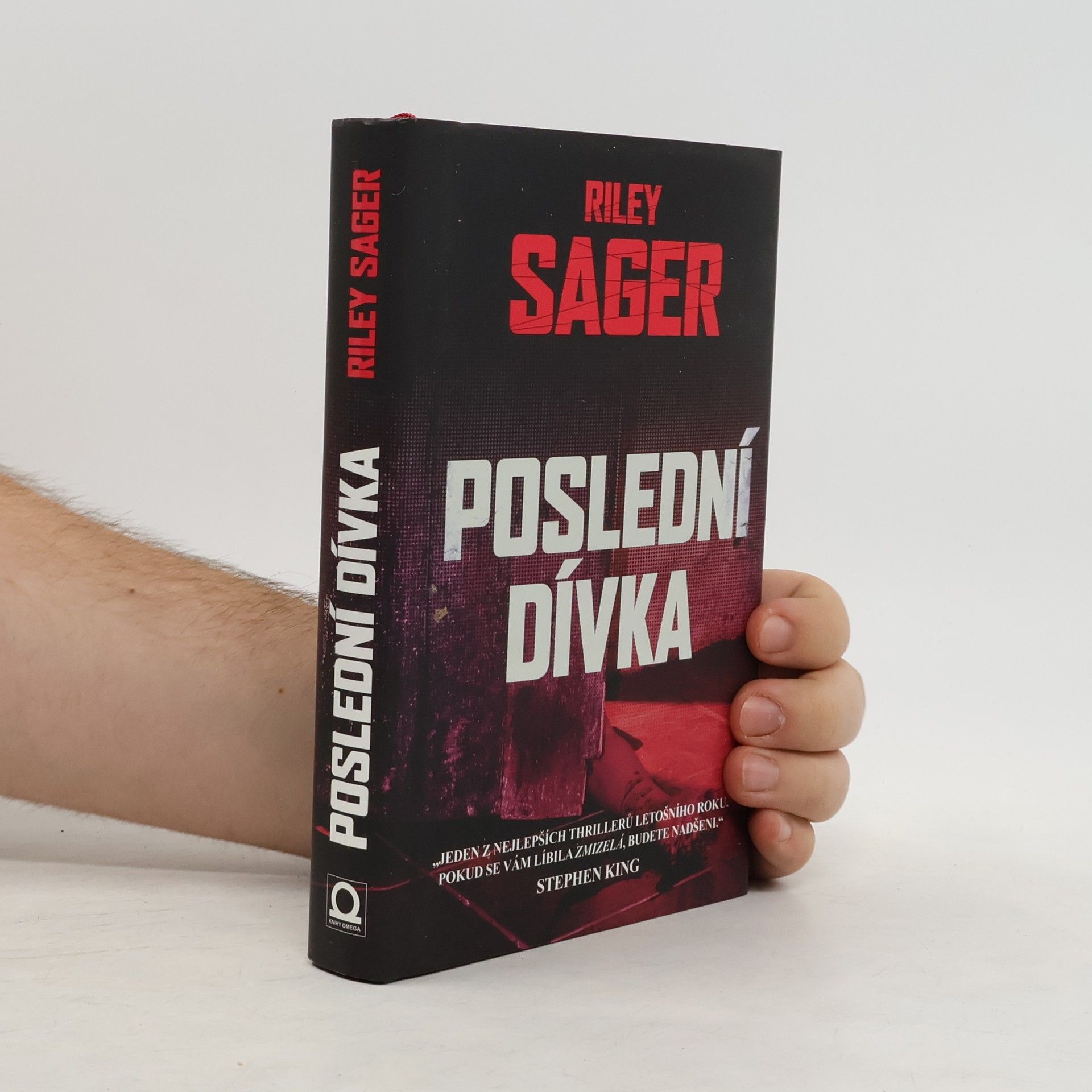 Todd Ritter Poslední dívka