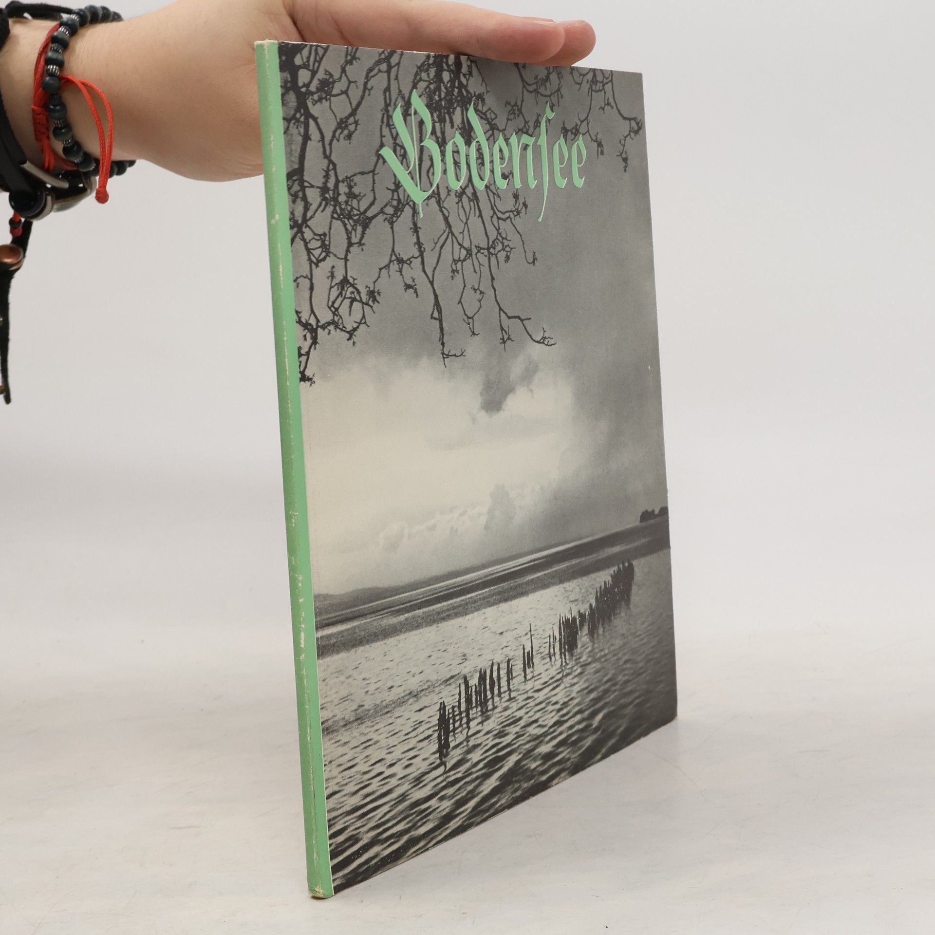 Collectif d'auteurs Bodensee