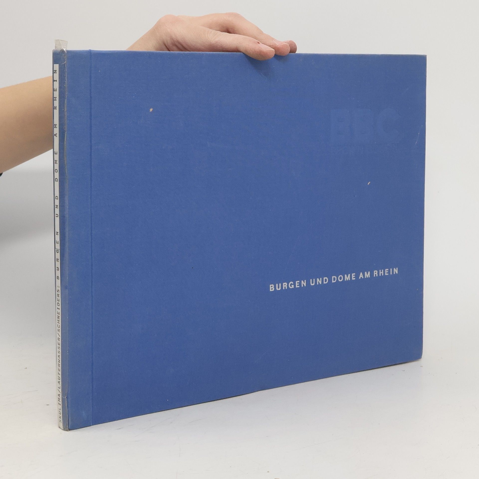 AA.VV. Burgen und Dome am Rhein