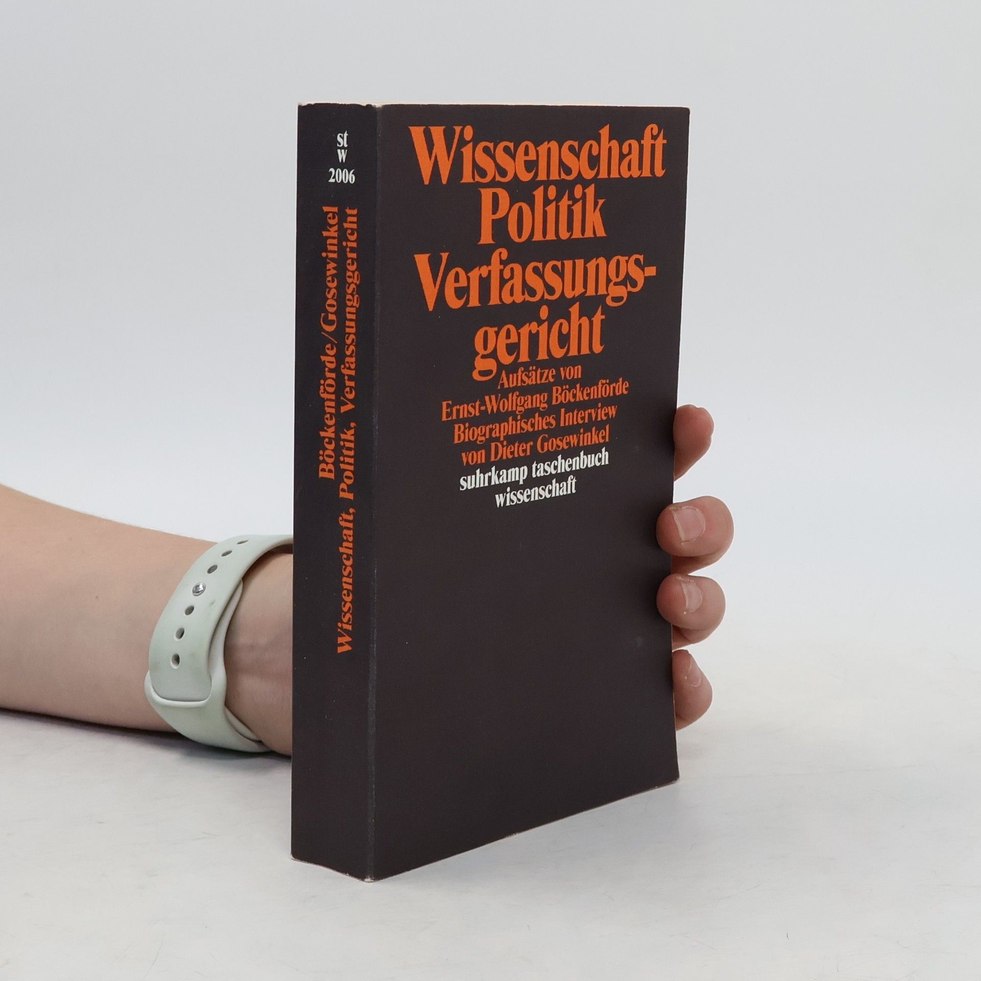 Wolfgang Ernst Wissenschaft, Politik, Verfassungsgericht