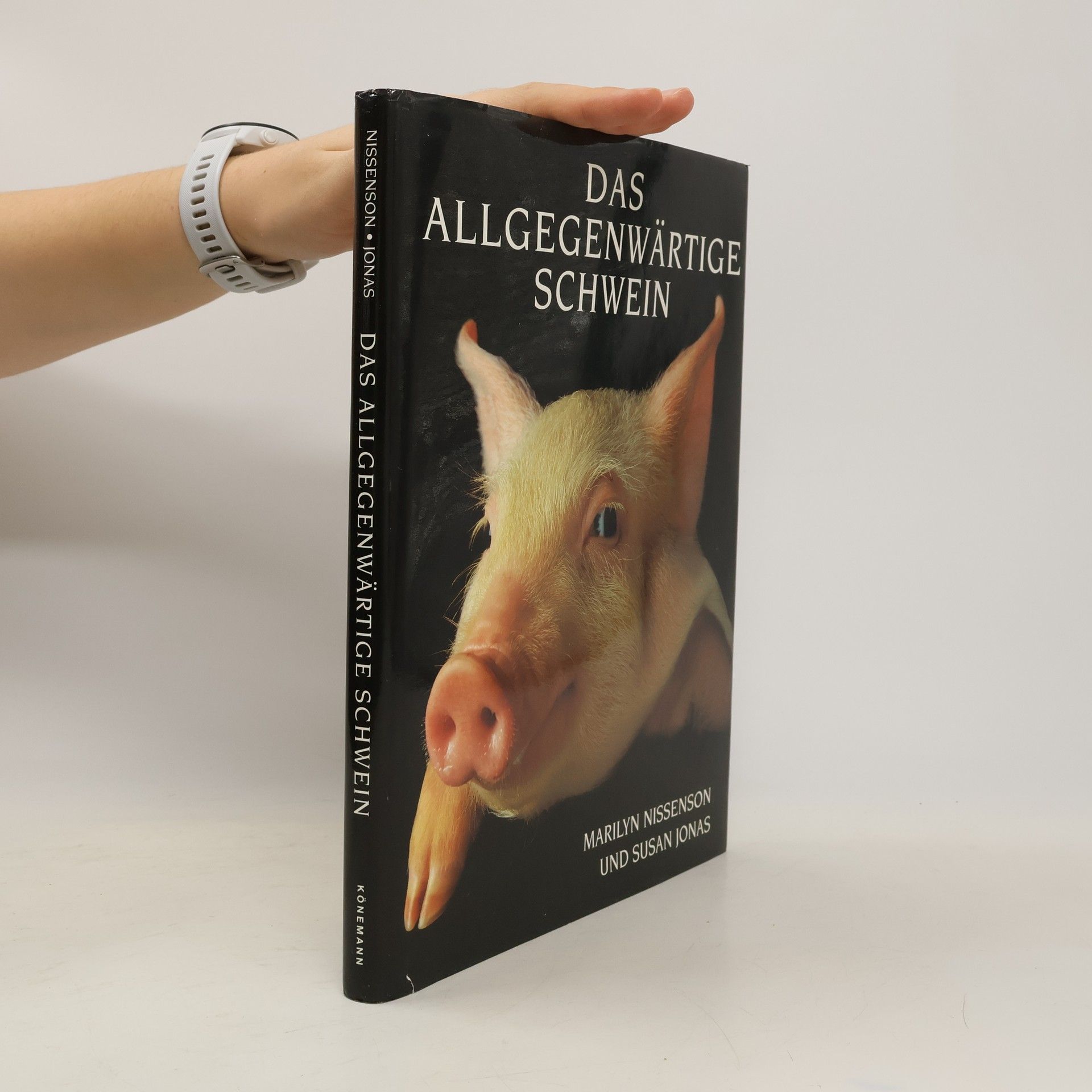Das allgegenwärtige Schwein