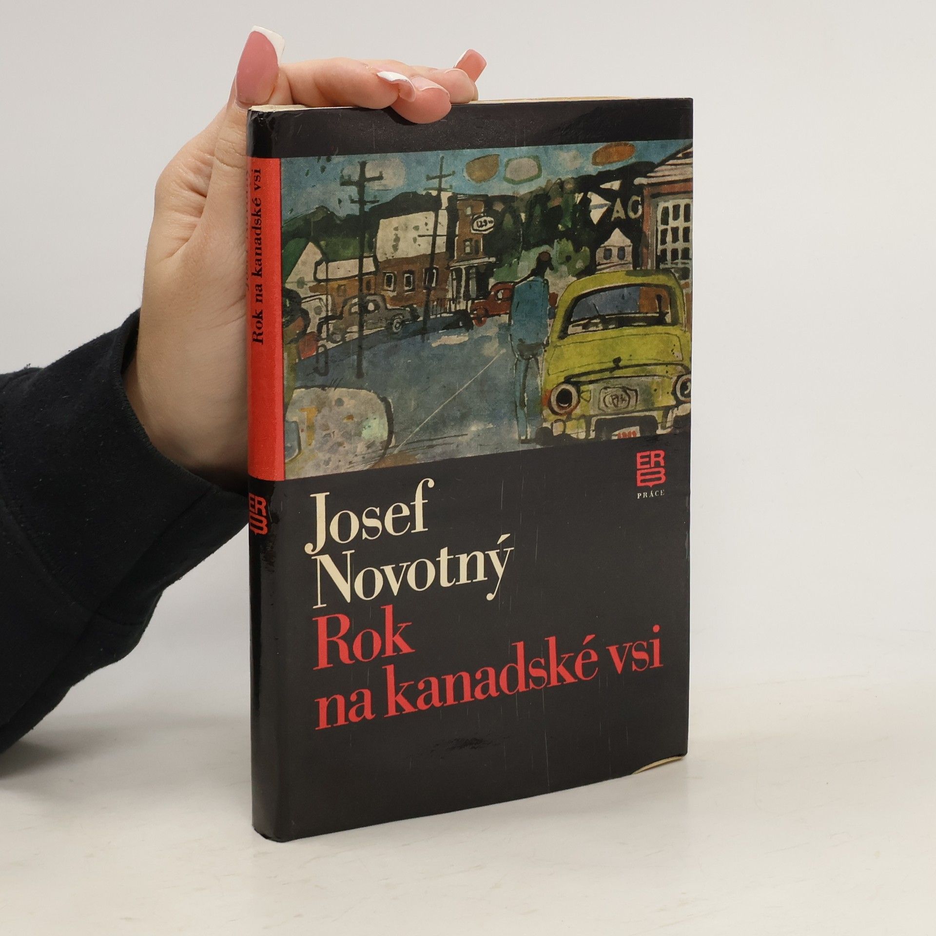 Rok na kanadské vsi