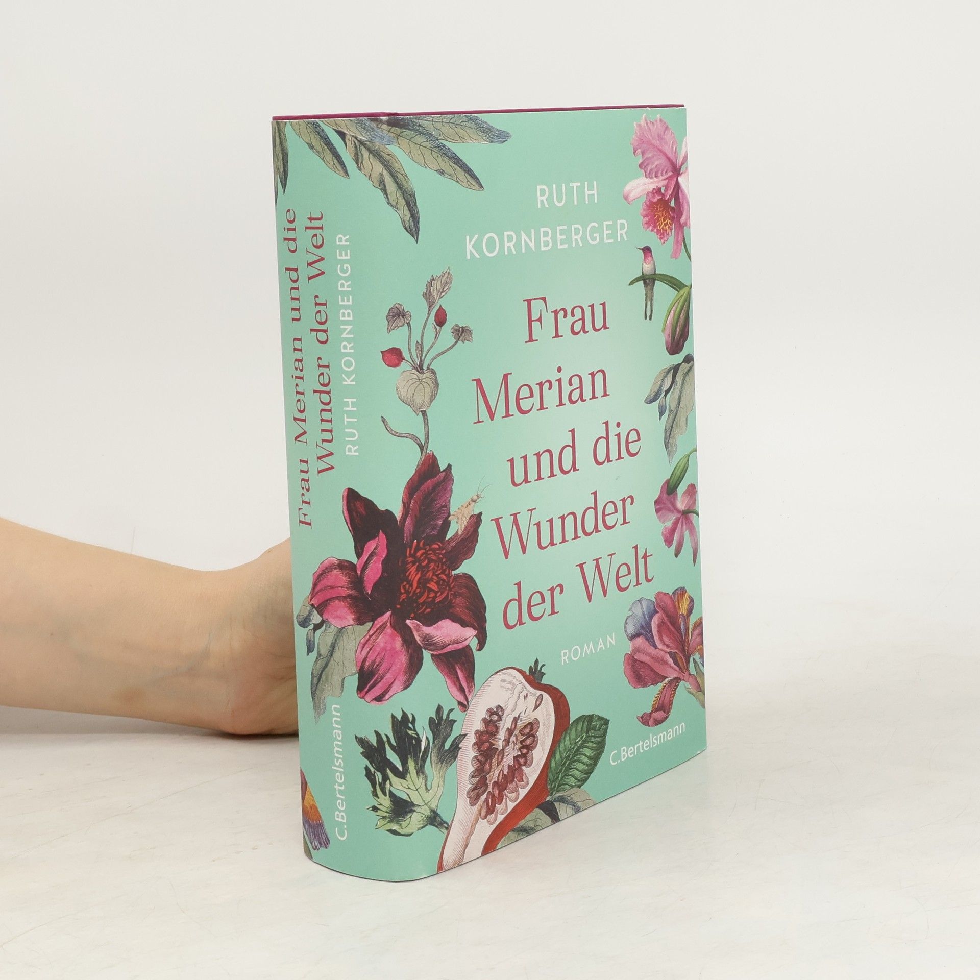 Ruth Kornberger Frau Merian und die Wunder der Welt