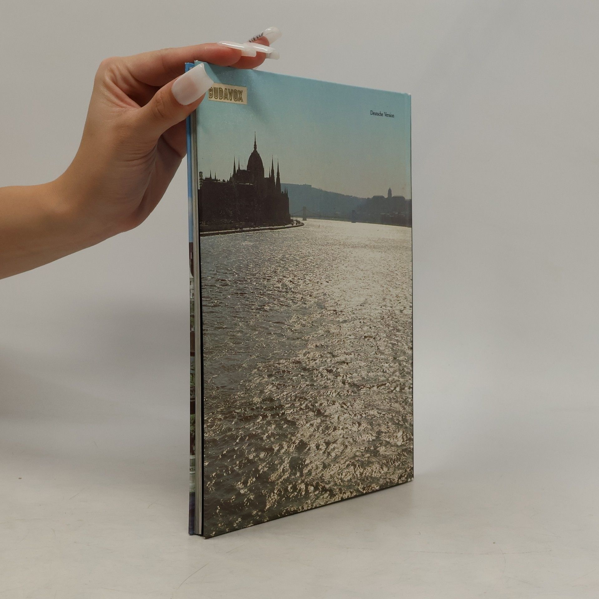 Autores varios Budapest