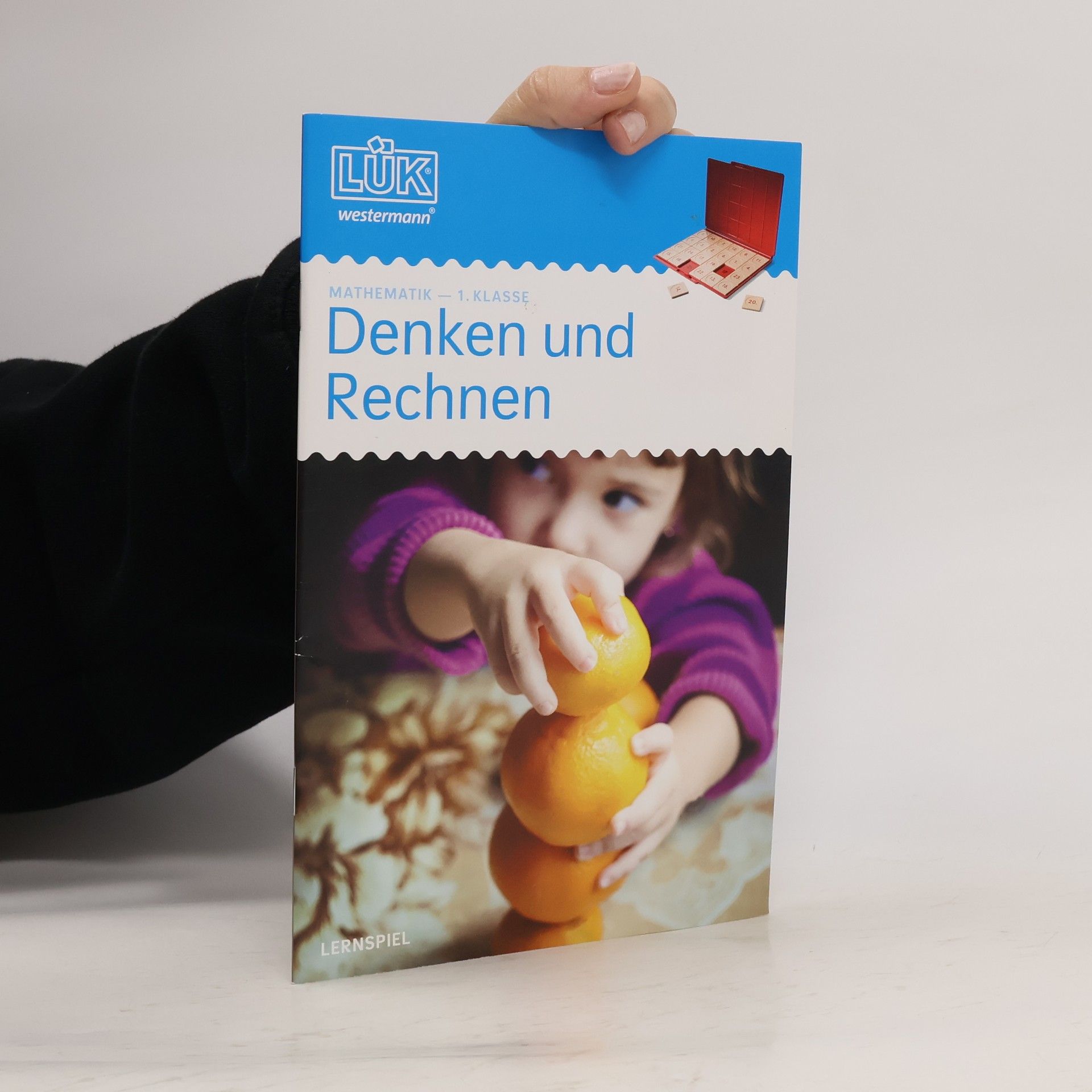 Auteurscollectief Denken und Rechnen