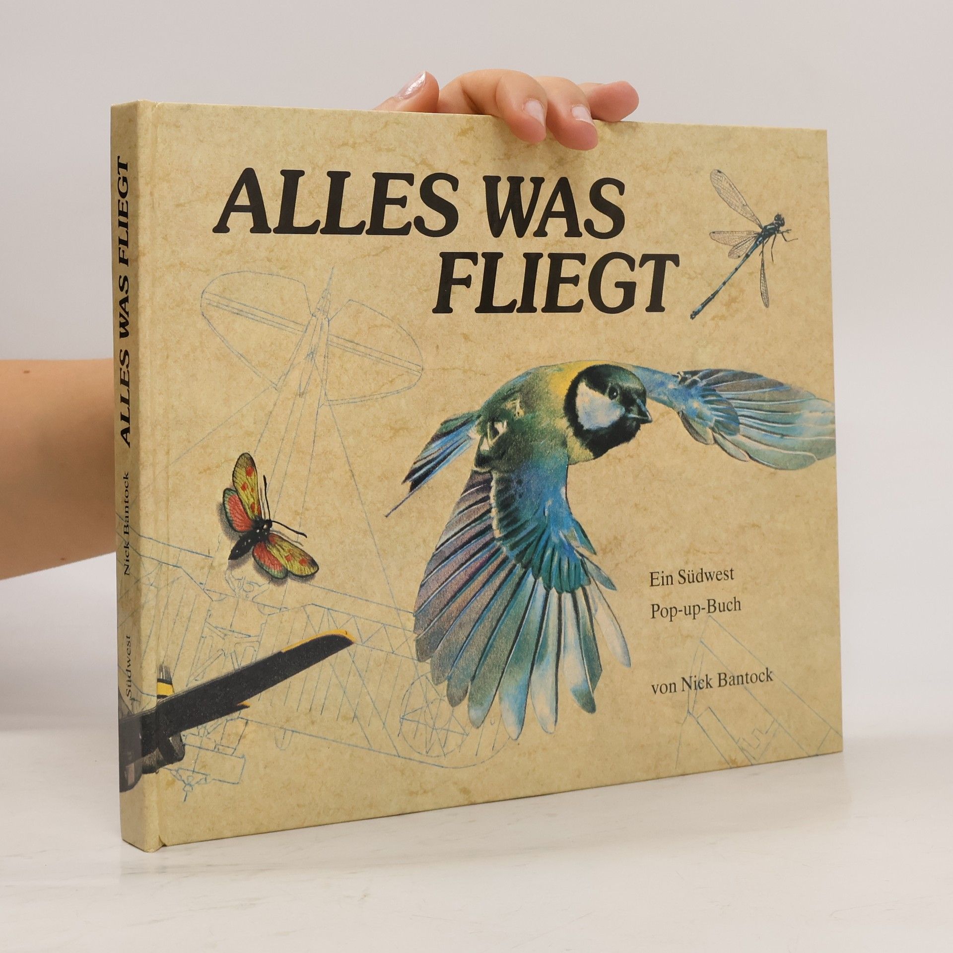 Nick Bantock Alles was fliegt