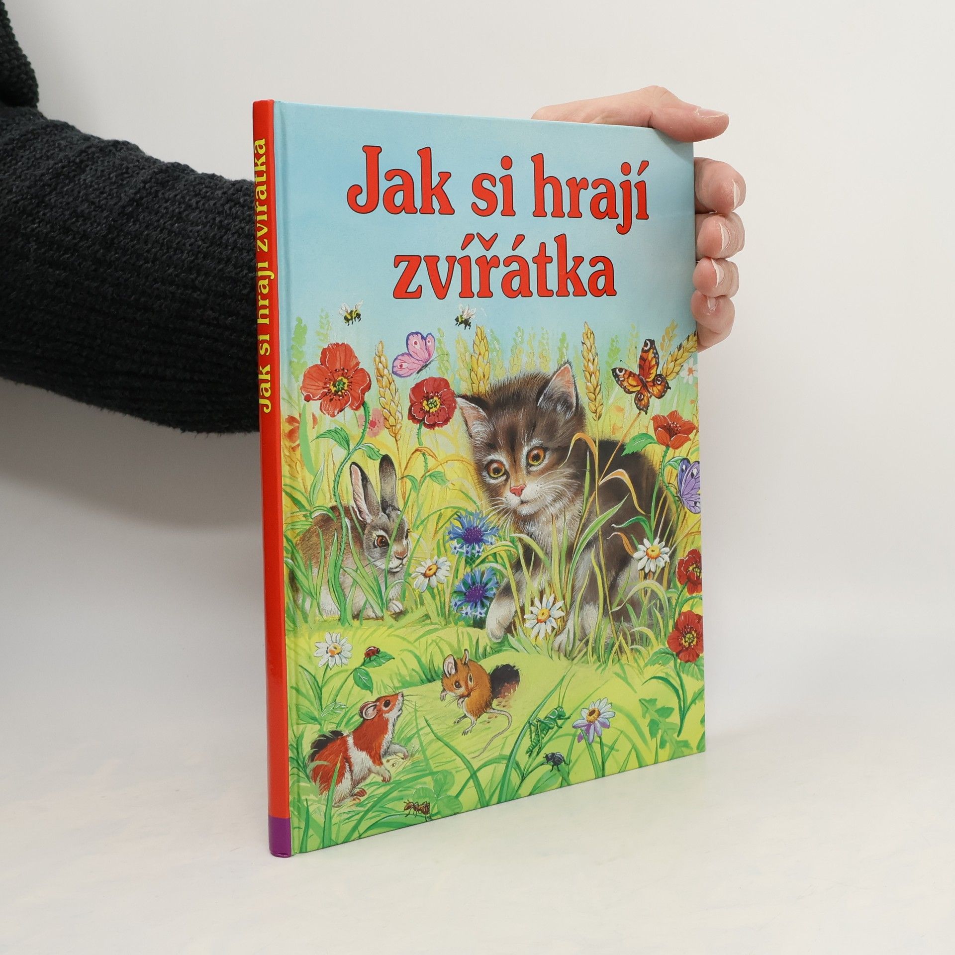 Jak si hrají zvířátka