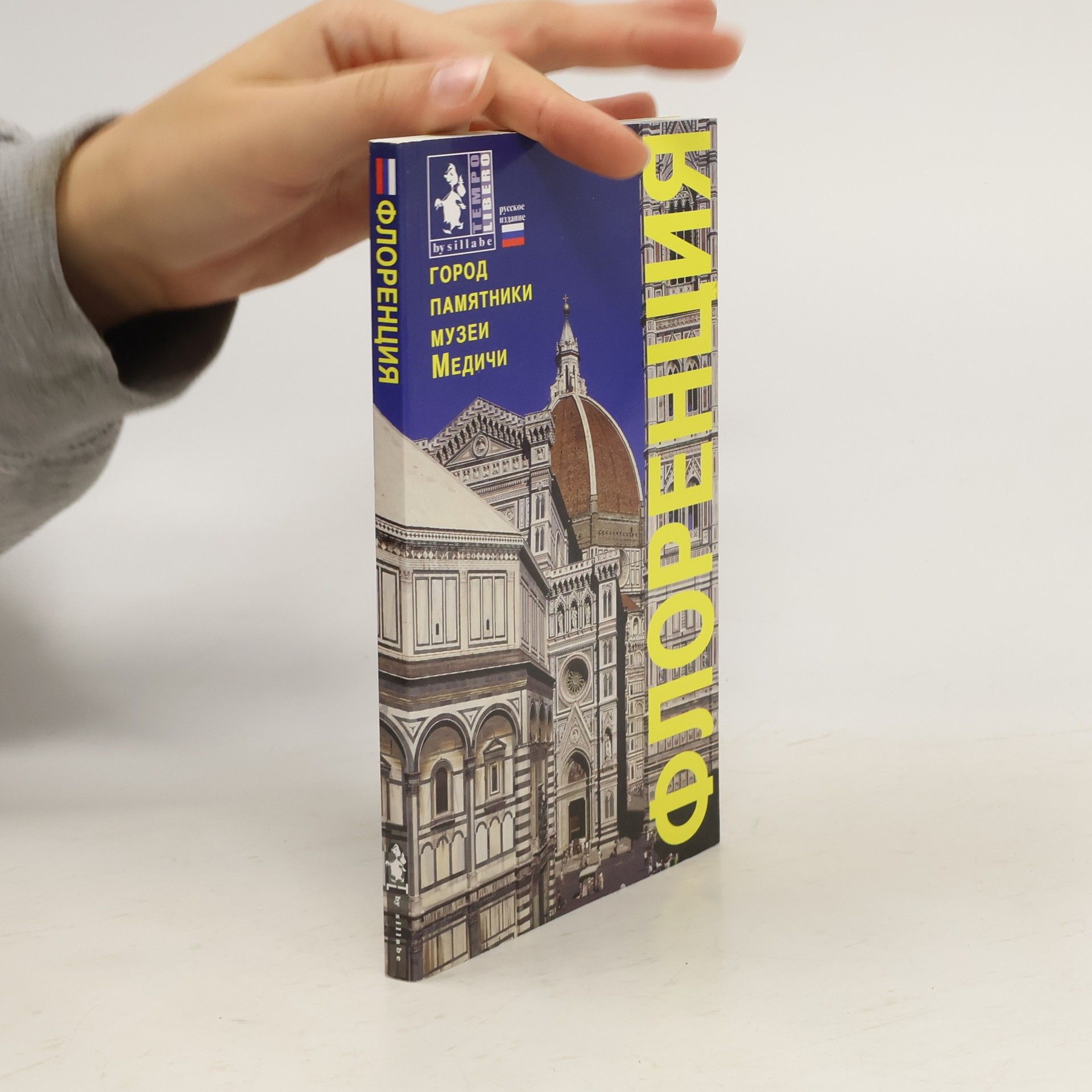 Autorenkollektiv Флоренция. Город, памятники, музеи, Медичи