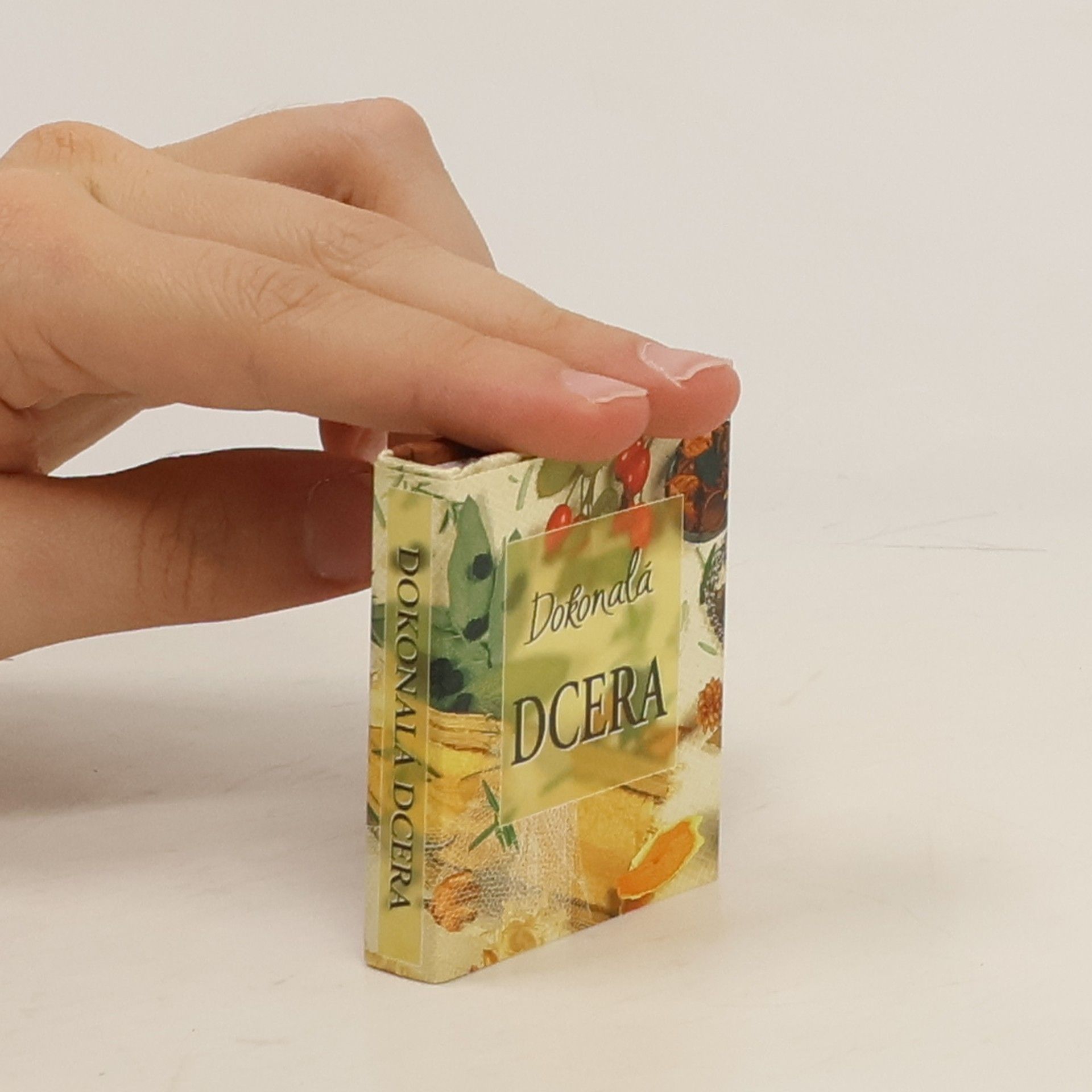 Kolektív autorov Dokonalá dcera