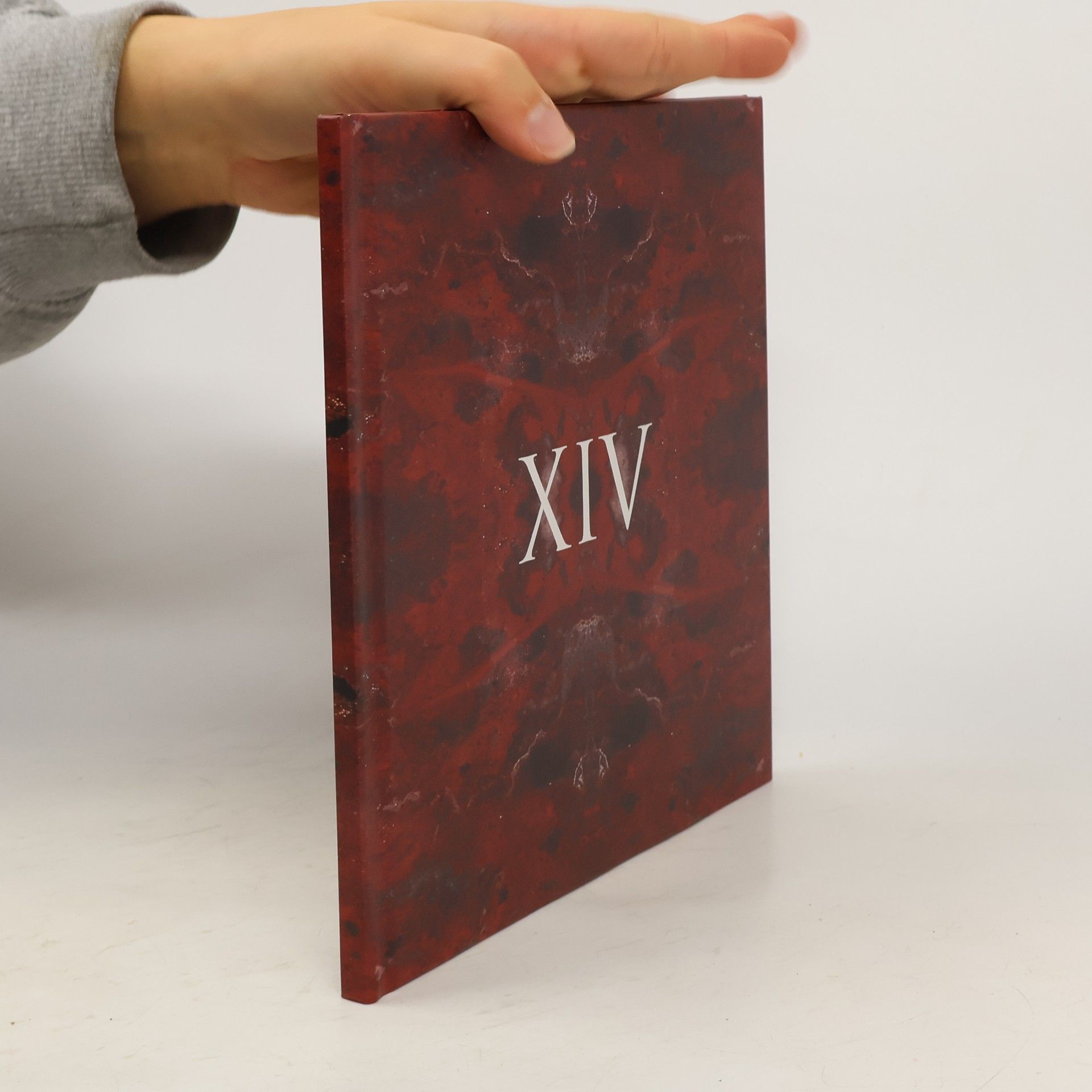 Leona Matějková Relikviář XIV pražských mučedníků