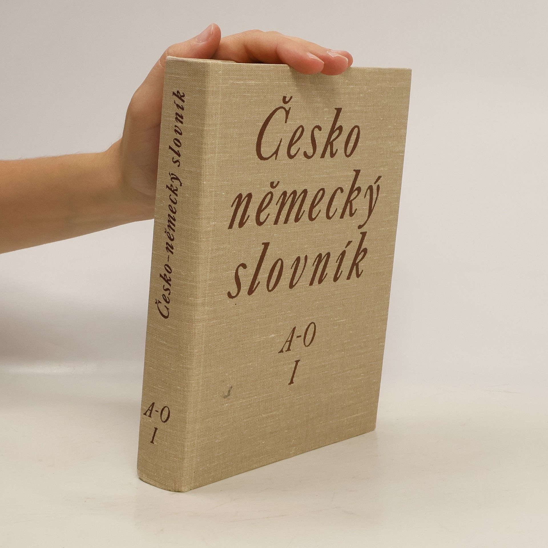 Collectif d'auteurs Česko-německý slovník A-O 1. díl