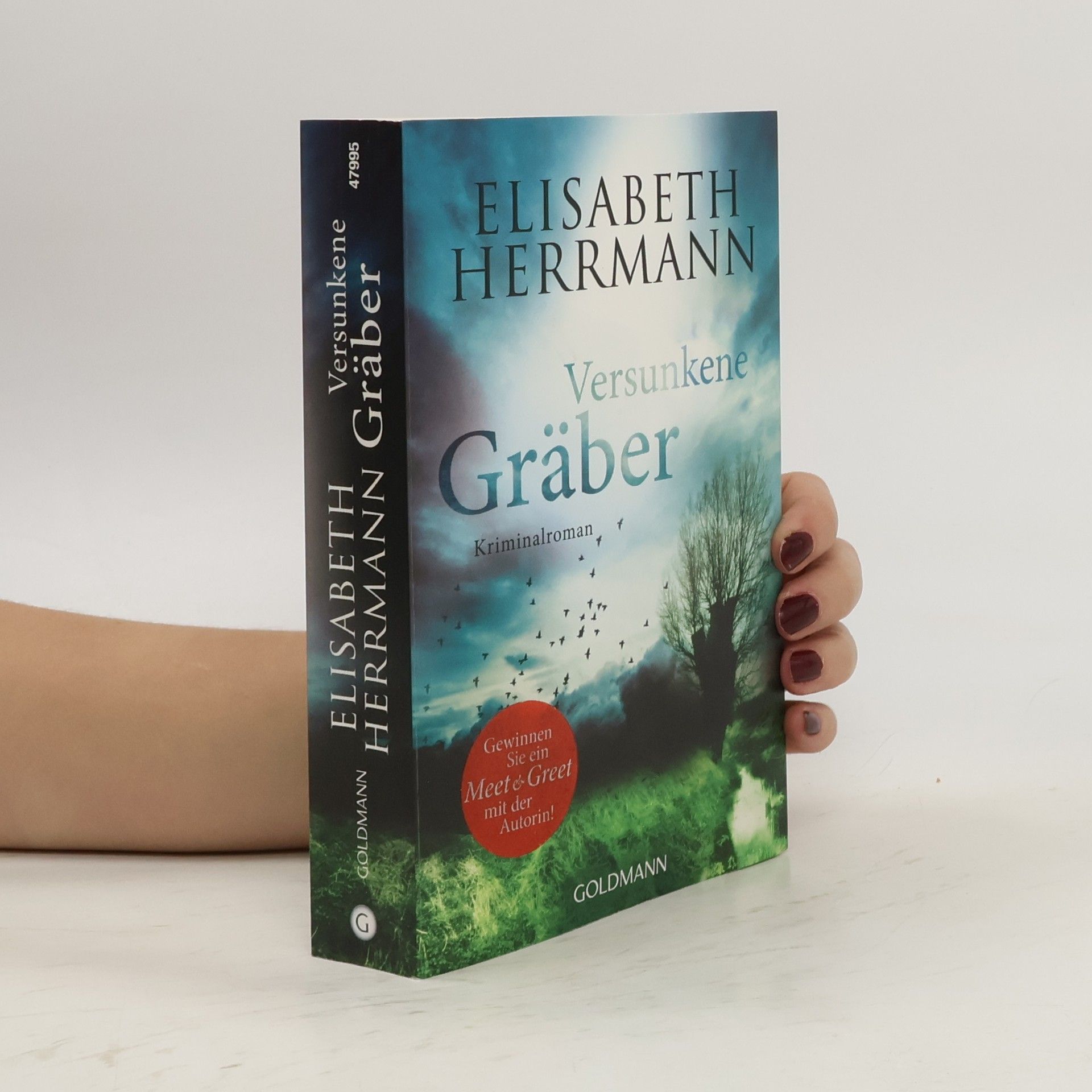 Elisabeth Hermann Versunkene Gräber