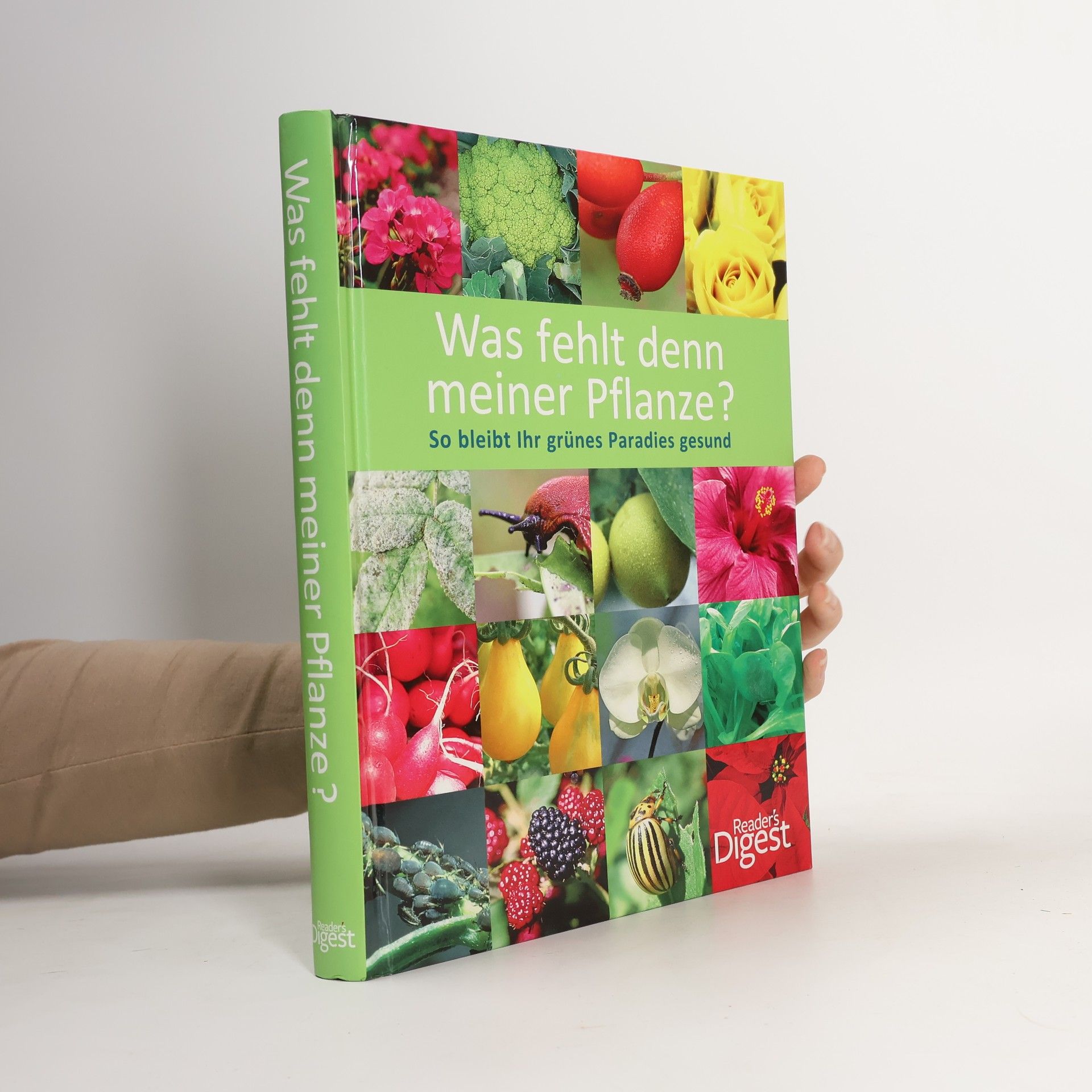 Michael Ernst-Pörksen Was fehlt denn meiner Pflanze?