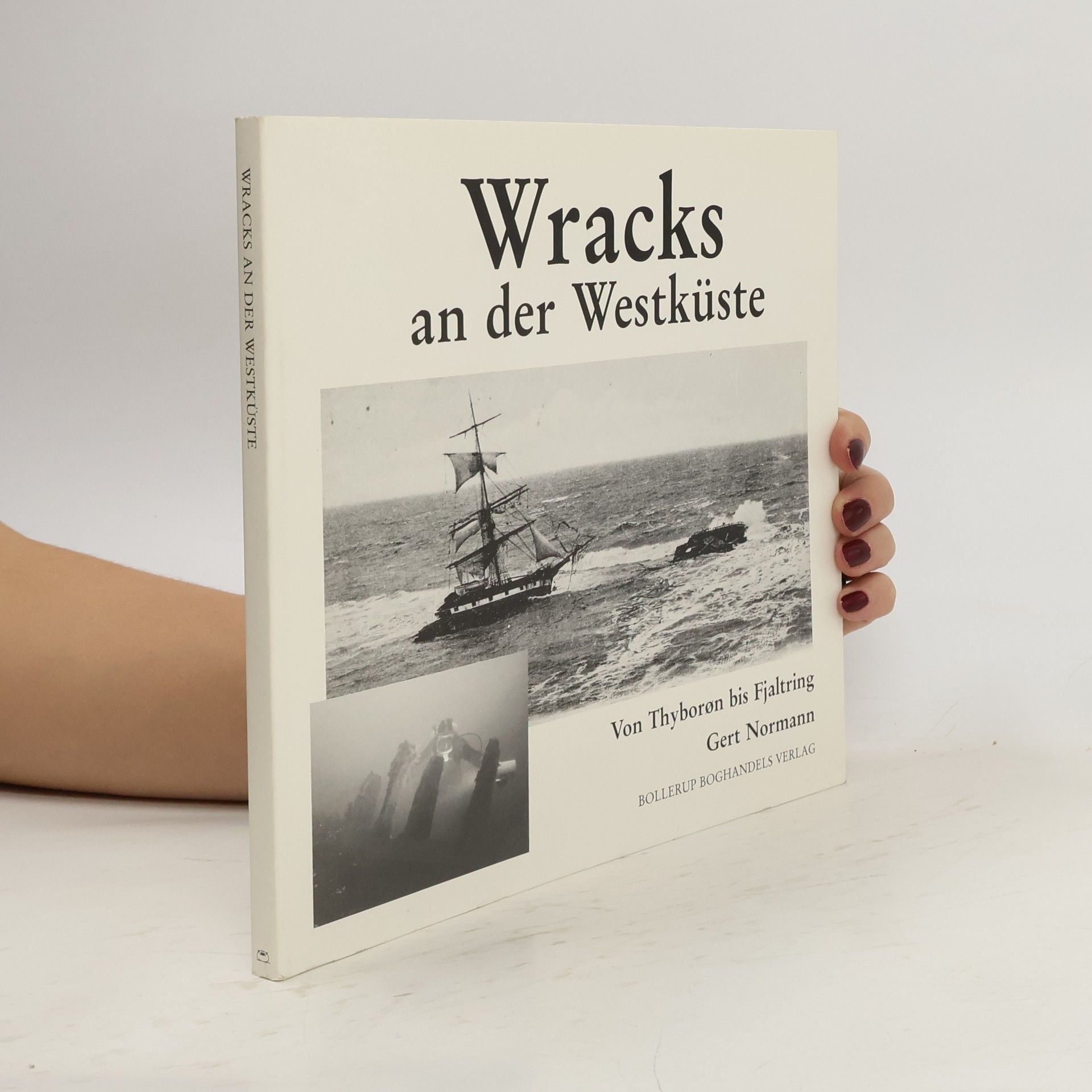 Gert Normann Andersen Wracks an der Westküste