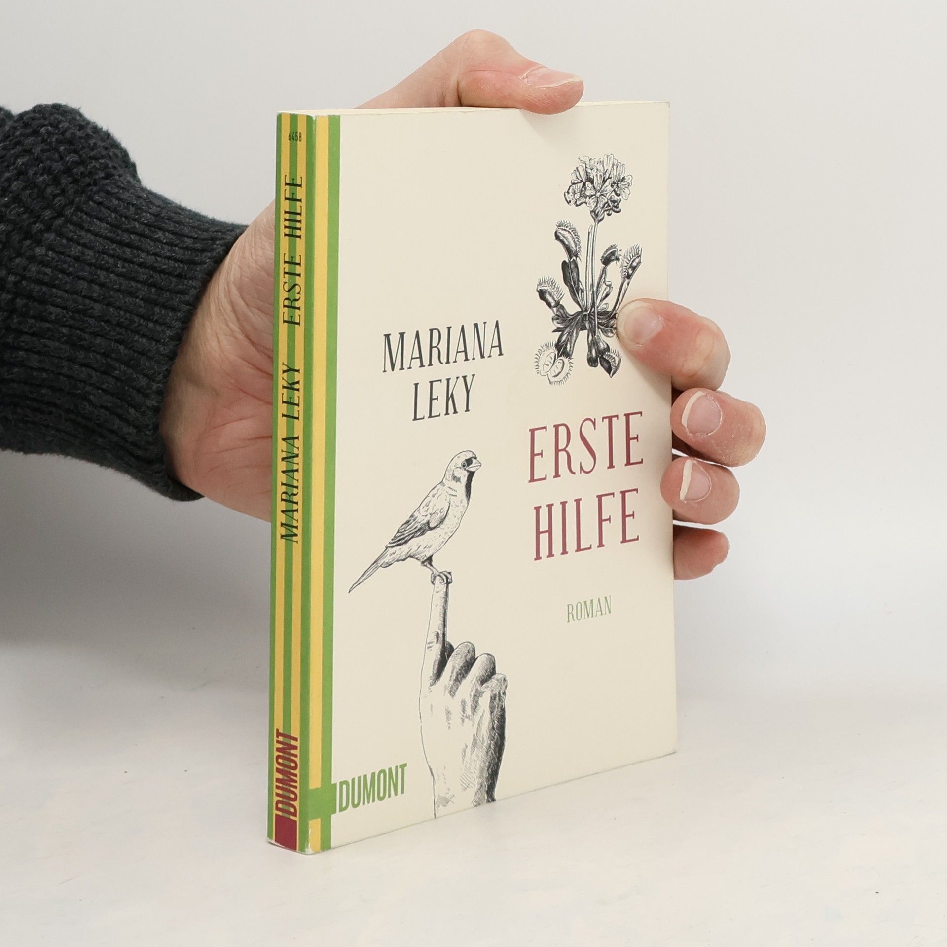 Mariana Leky Erste Hilfe