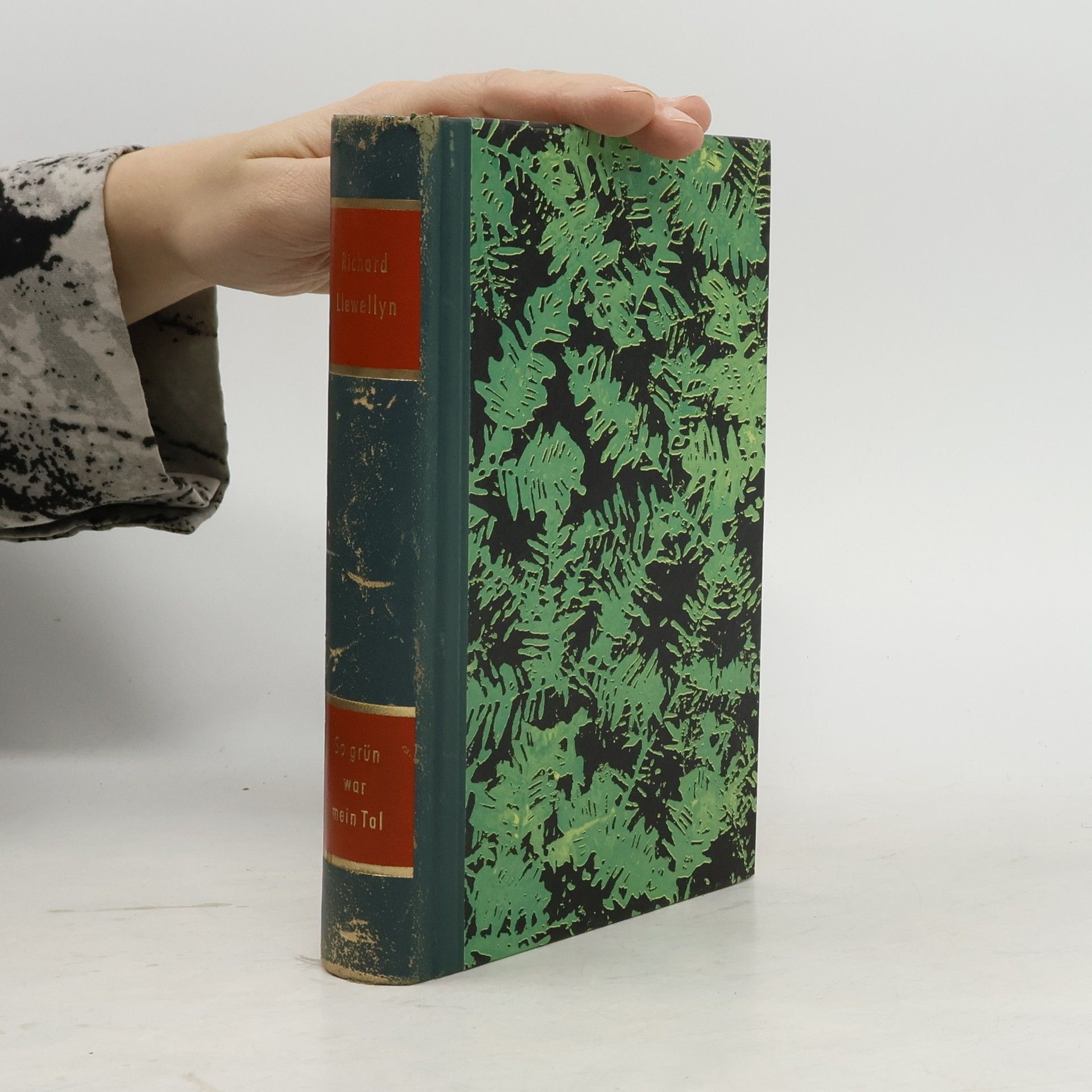 Richard Llewellyn So grün war mein Tal