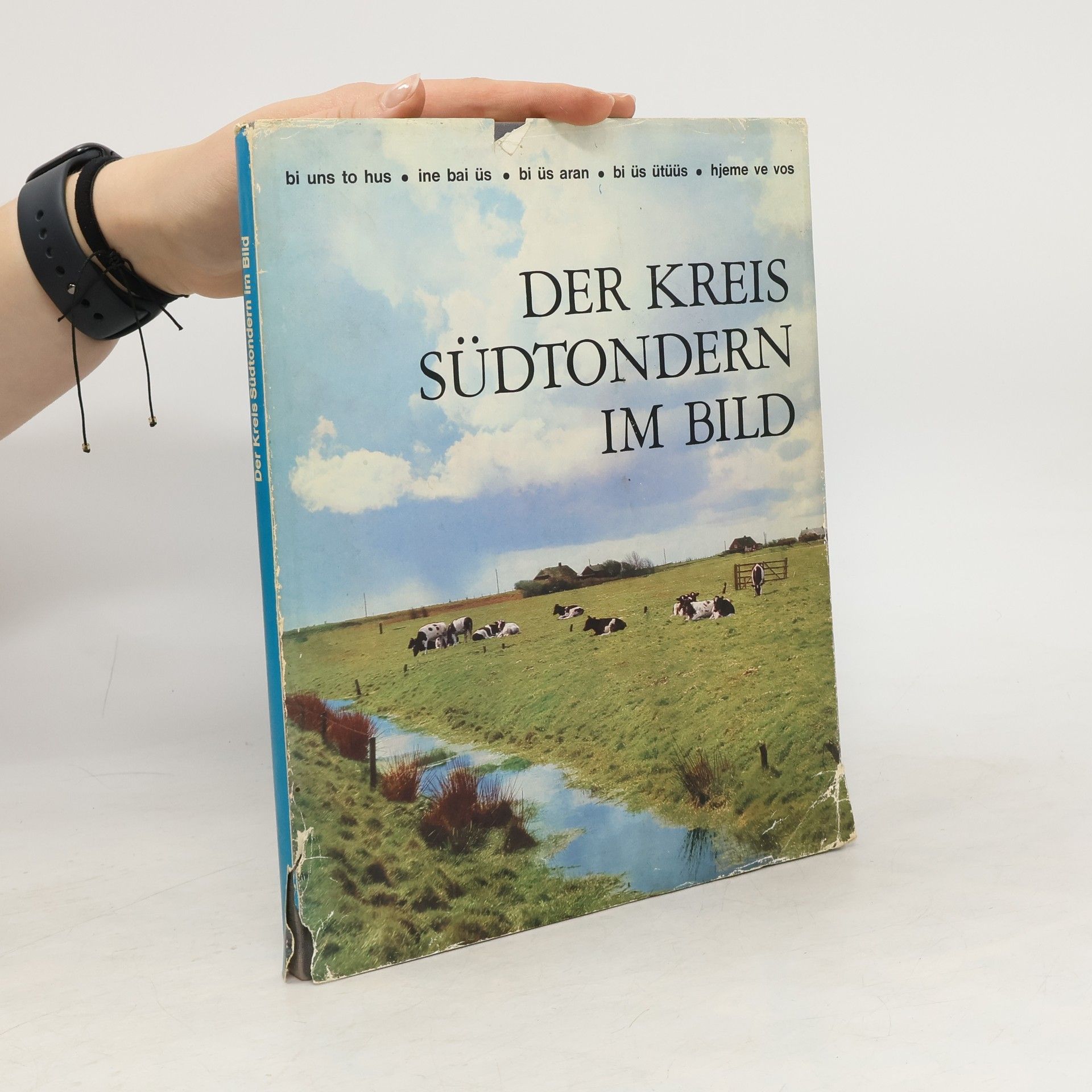 Collectif d'auteurs Der Kreis Südtondern im Bild