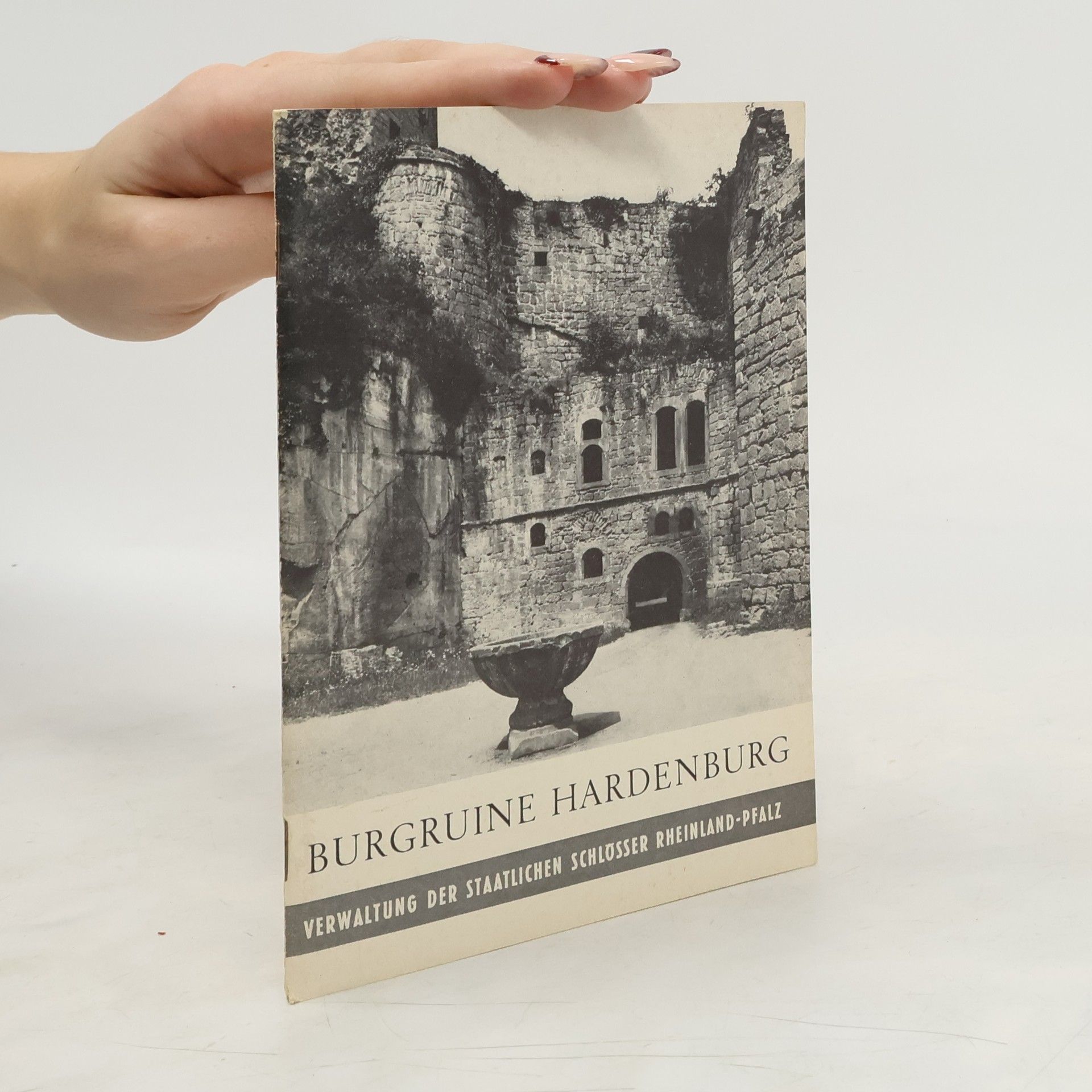Collectif d'auteurs Burgruine Hardenburg