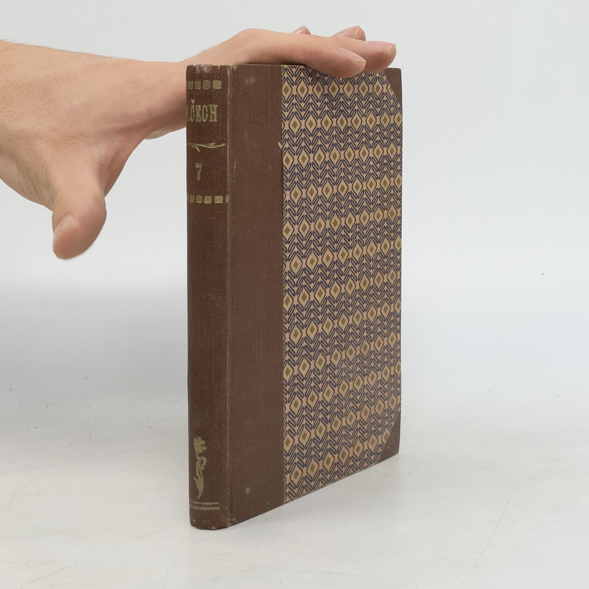 Svatopluk Čech Vzpomínky z cest a života II.