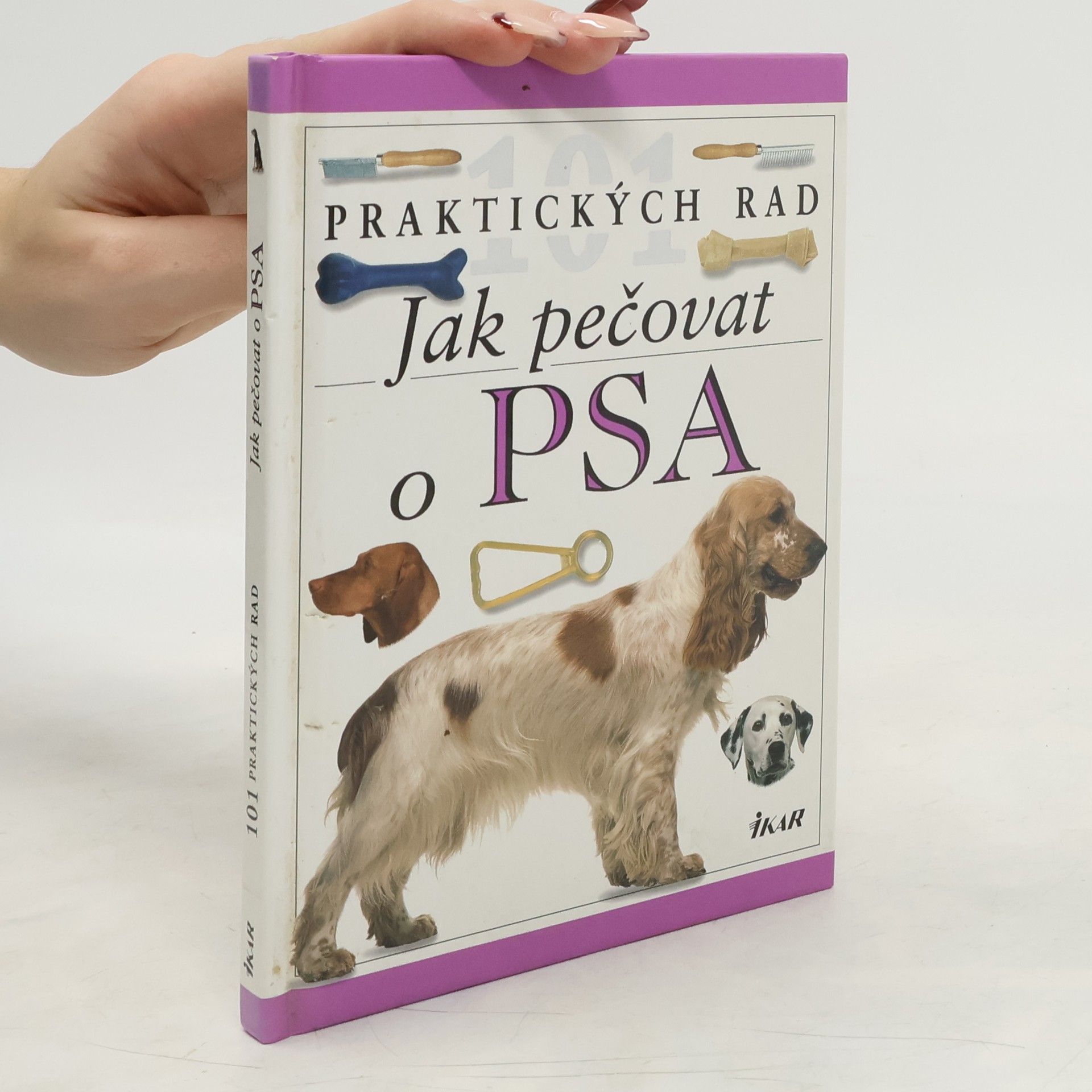 Bruce Folge Jak pečovat o psa