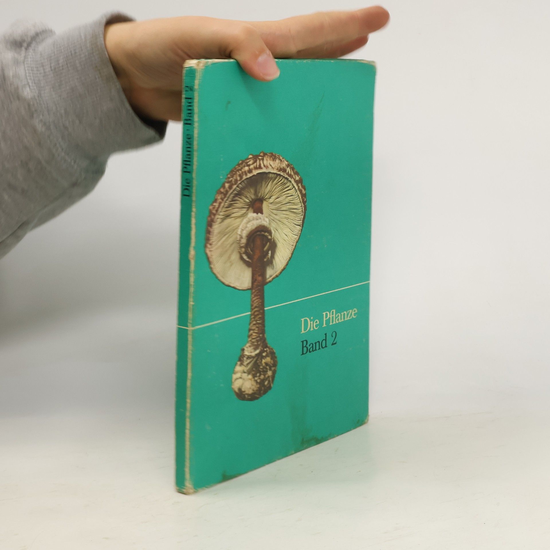 Die Pflanze 2