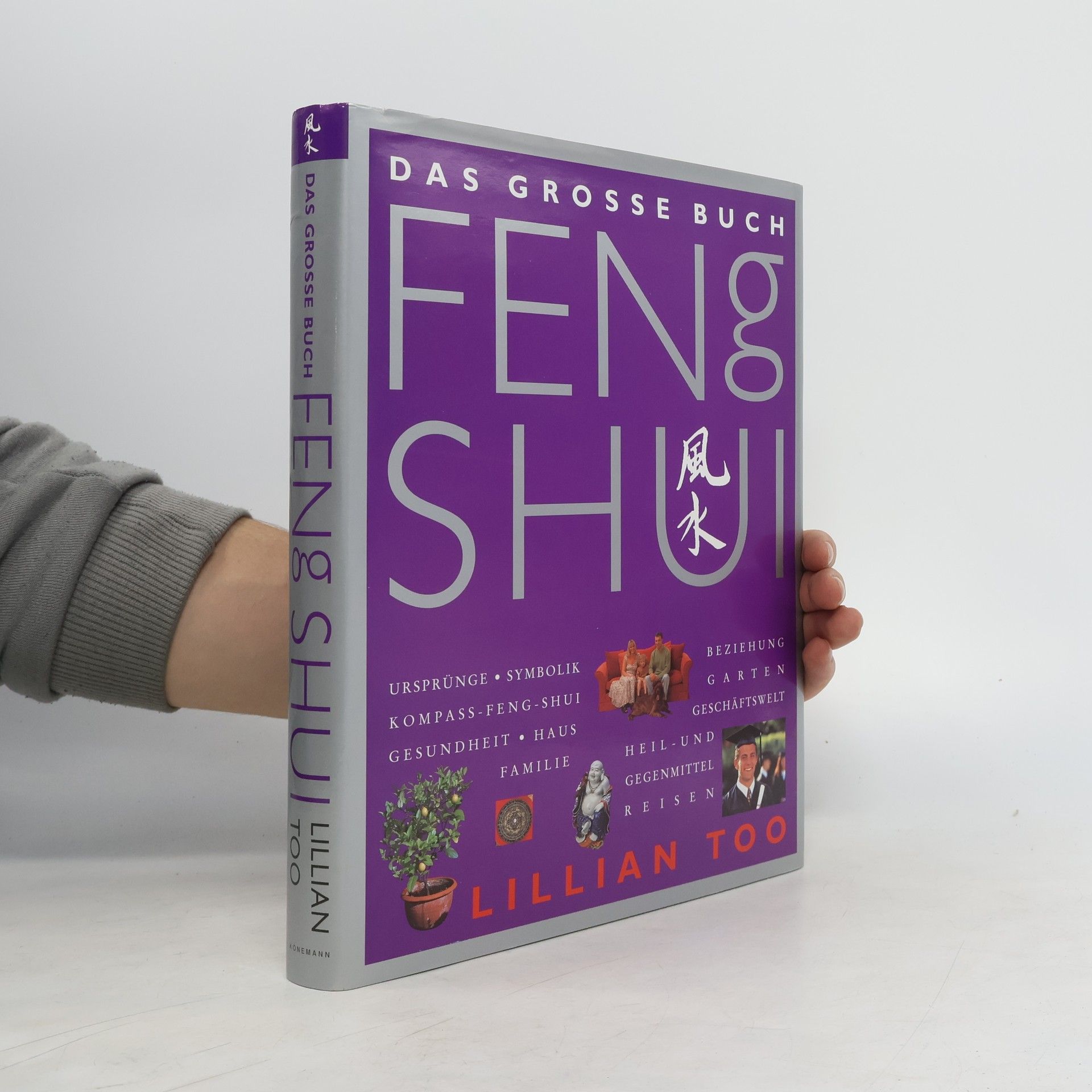 Lillian Too Das grosse Buch Feng Shui
