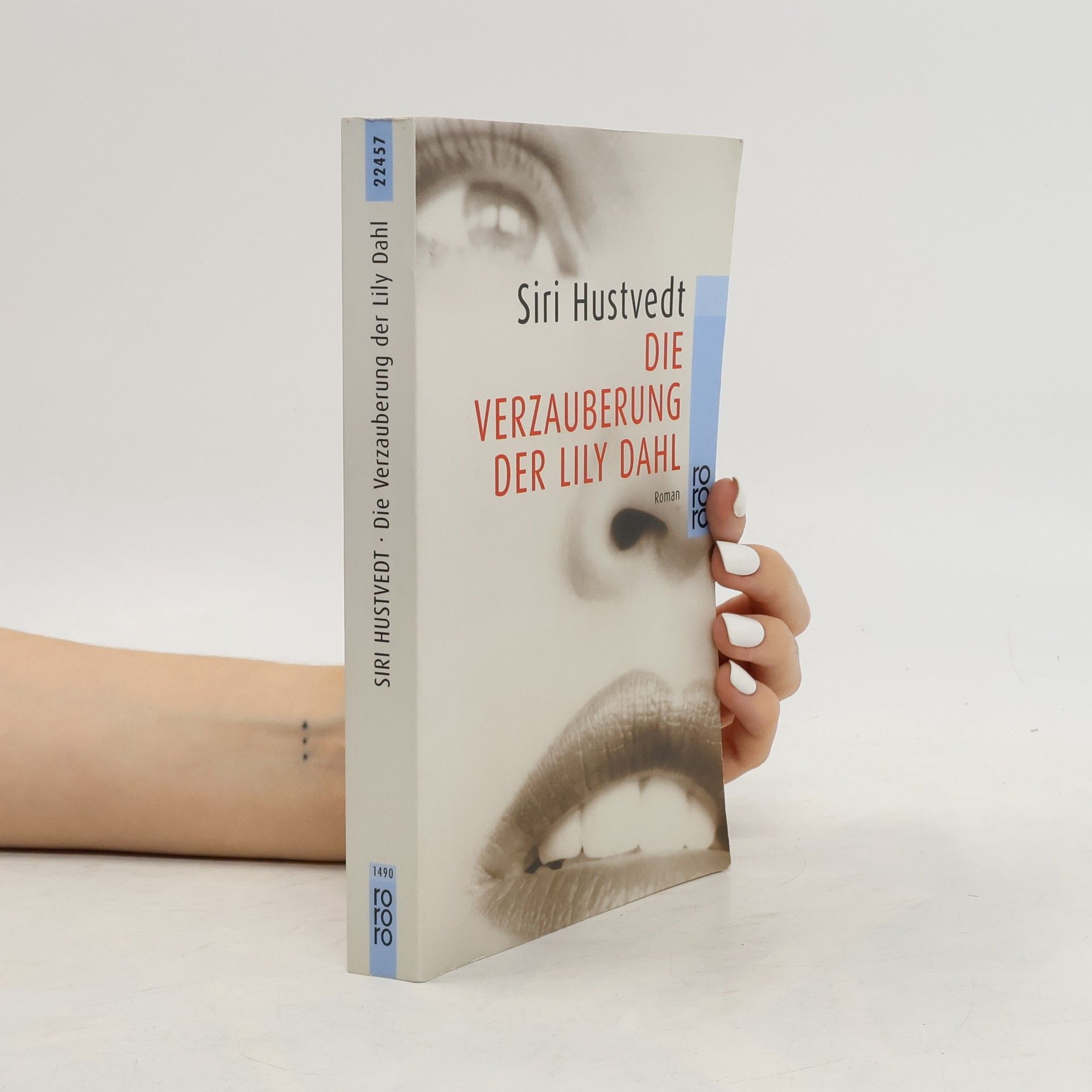 Siri Hustvedt Die Verzauberung der Lily Dahl