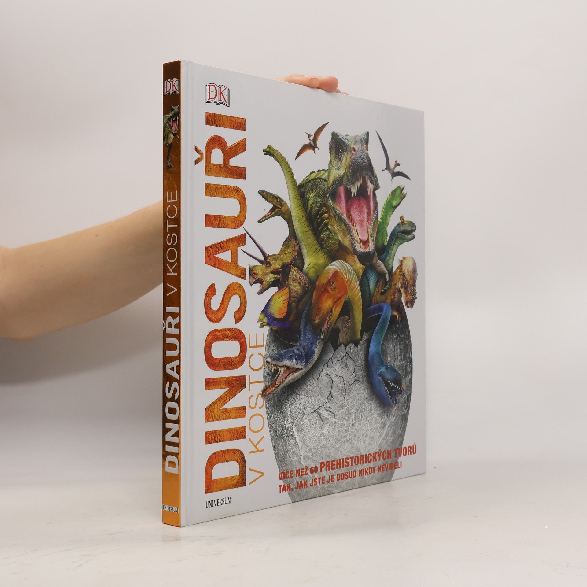 Various authors Dinosauři v kostce