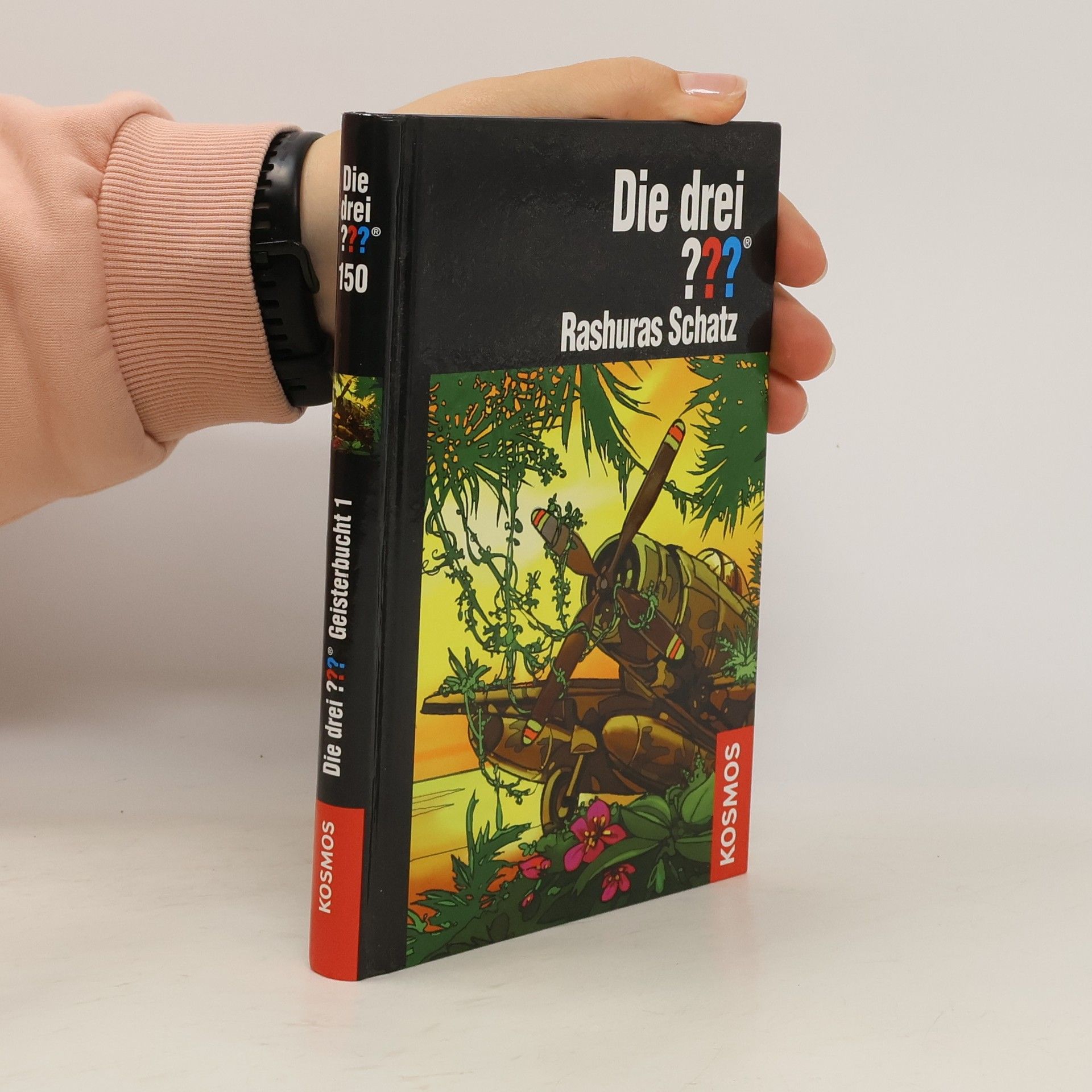 Die drei??? Rashuras Schatz