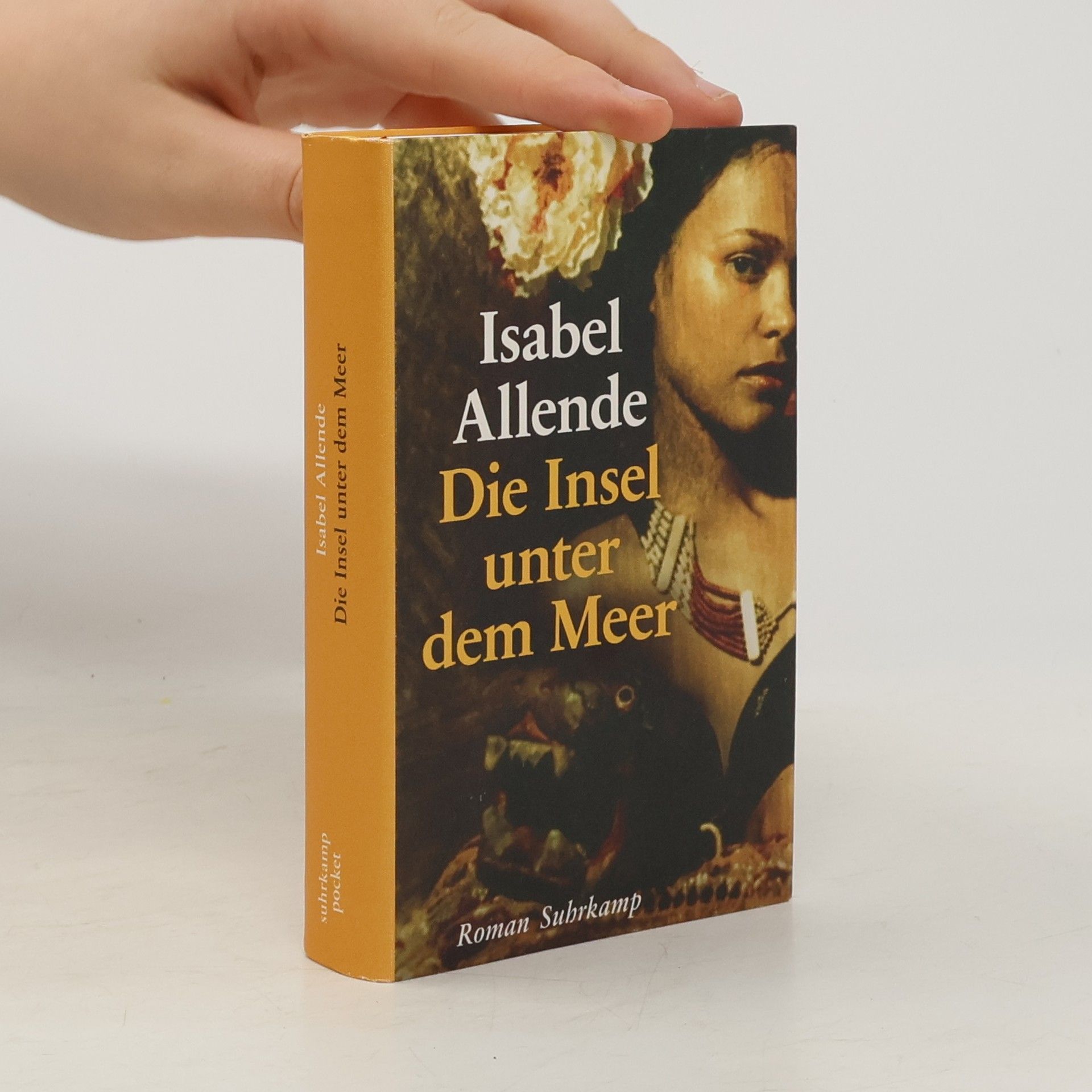 Isabel Allende Die Insel unter dem Meer