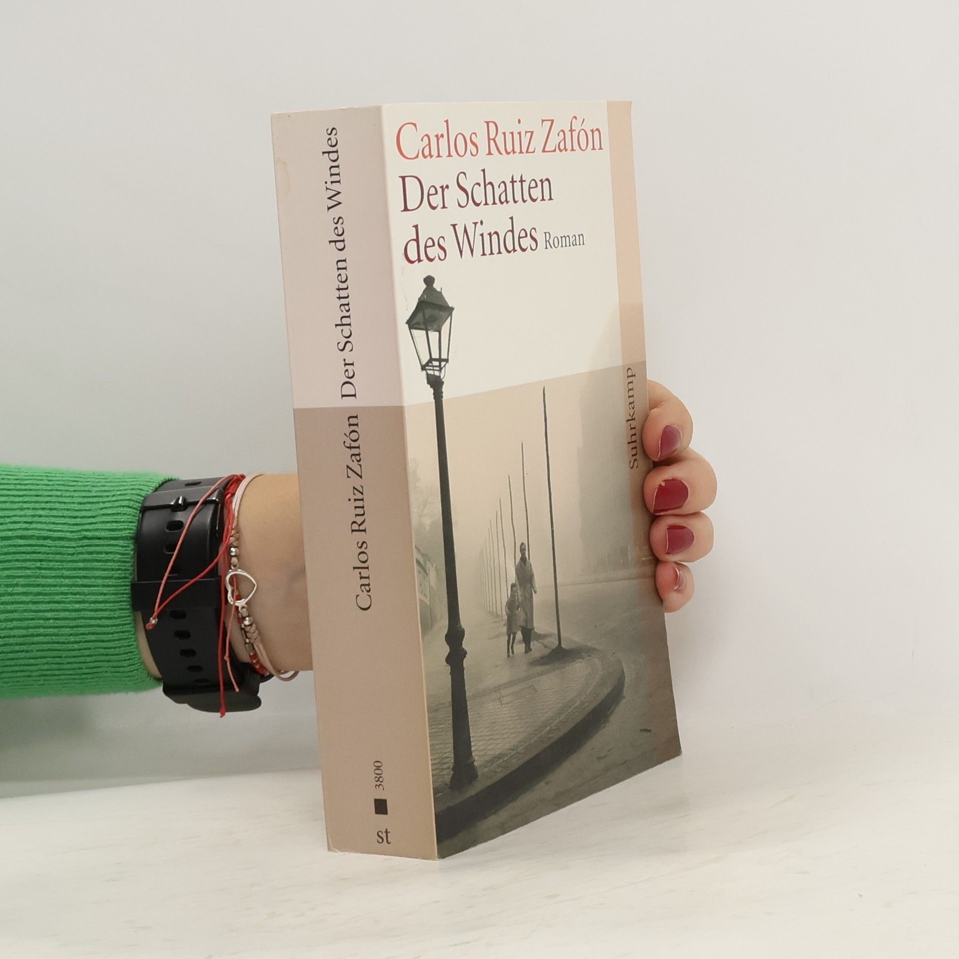 Carlos Ruiz Zafón Der Schatten des Windes