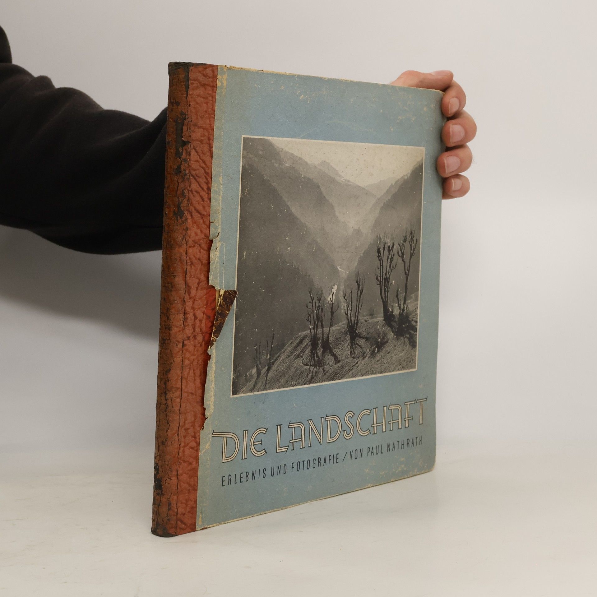 Paul Nathrath Die Landschaft