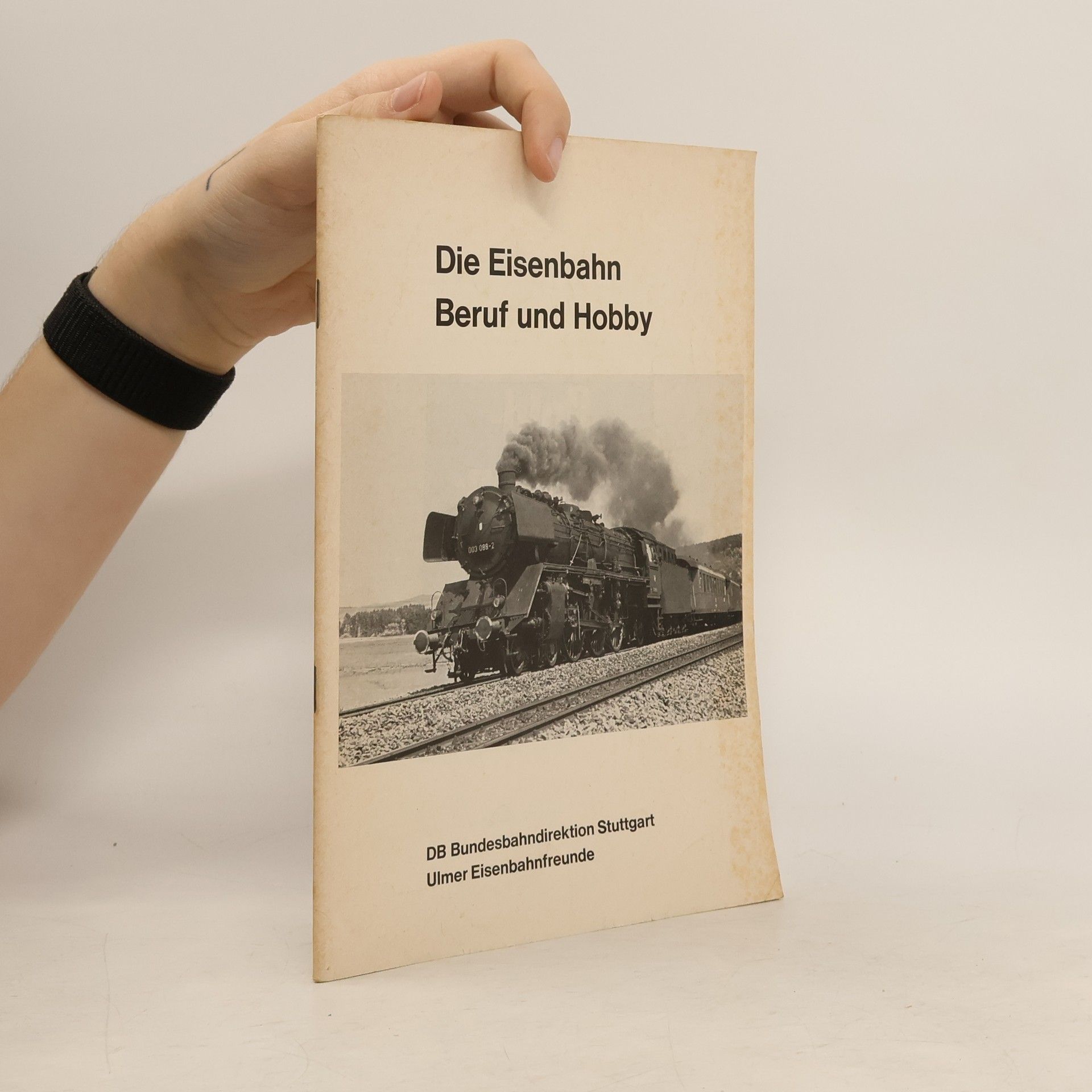 Autores varios Die Eisenbahn Beruf und Hobby