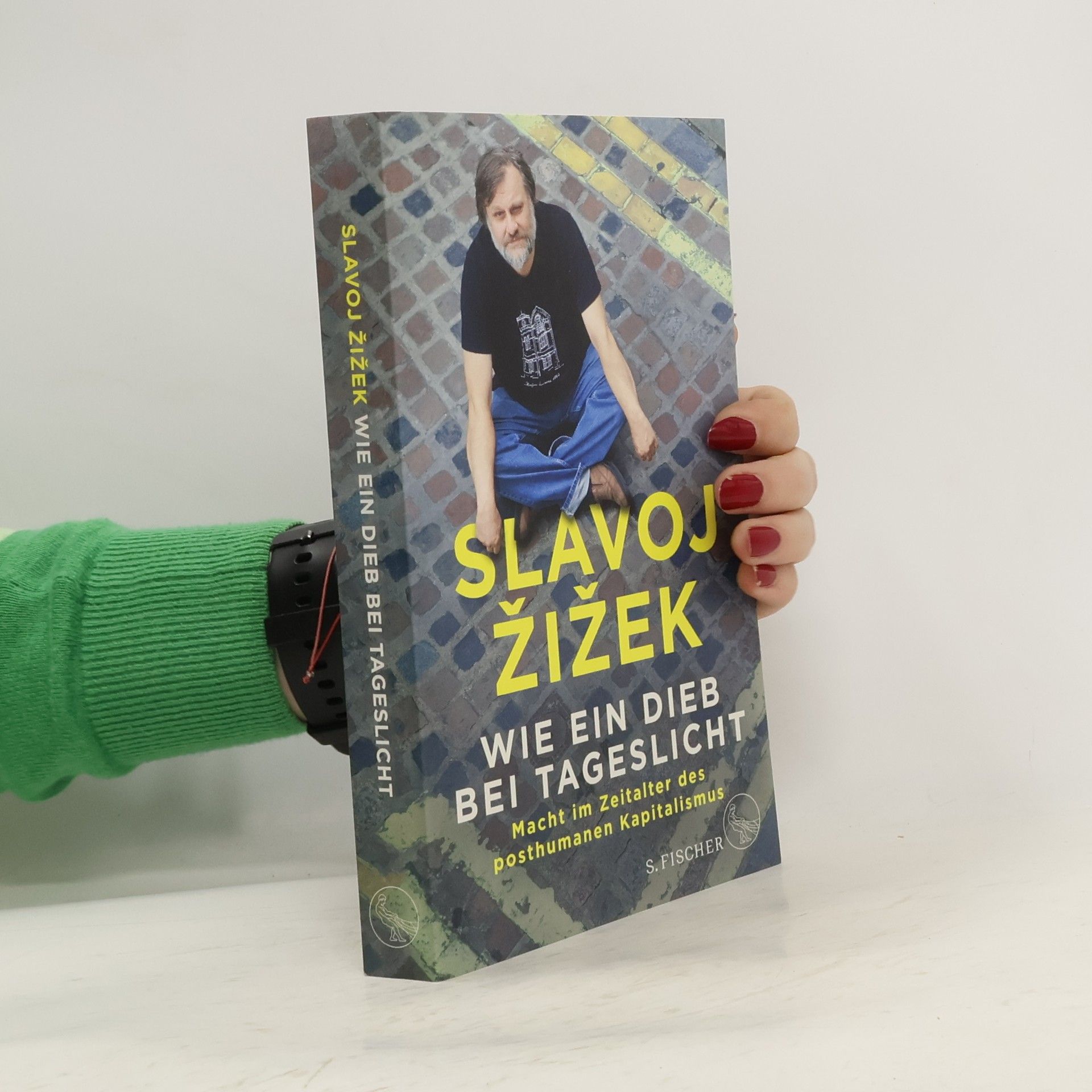 Slavoj Žižek Wie ein Dieb bei Tageslicht
