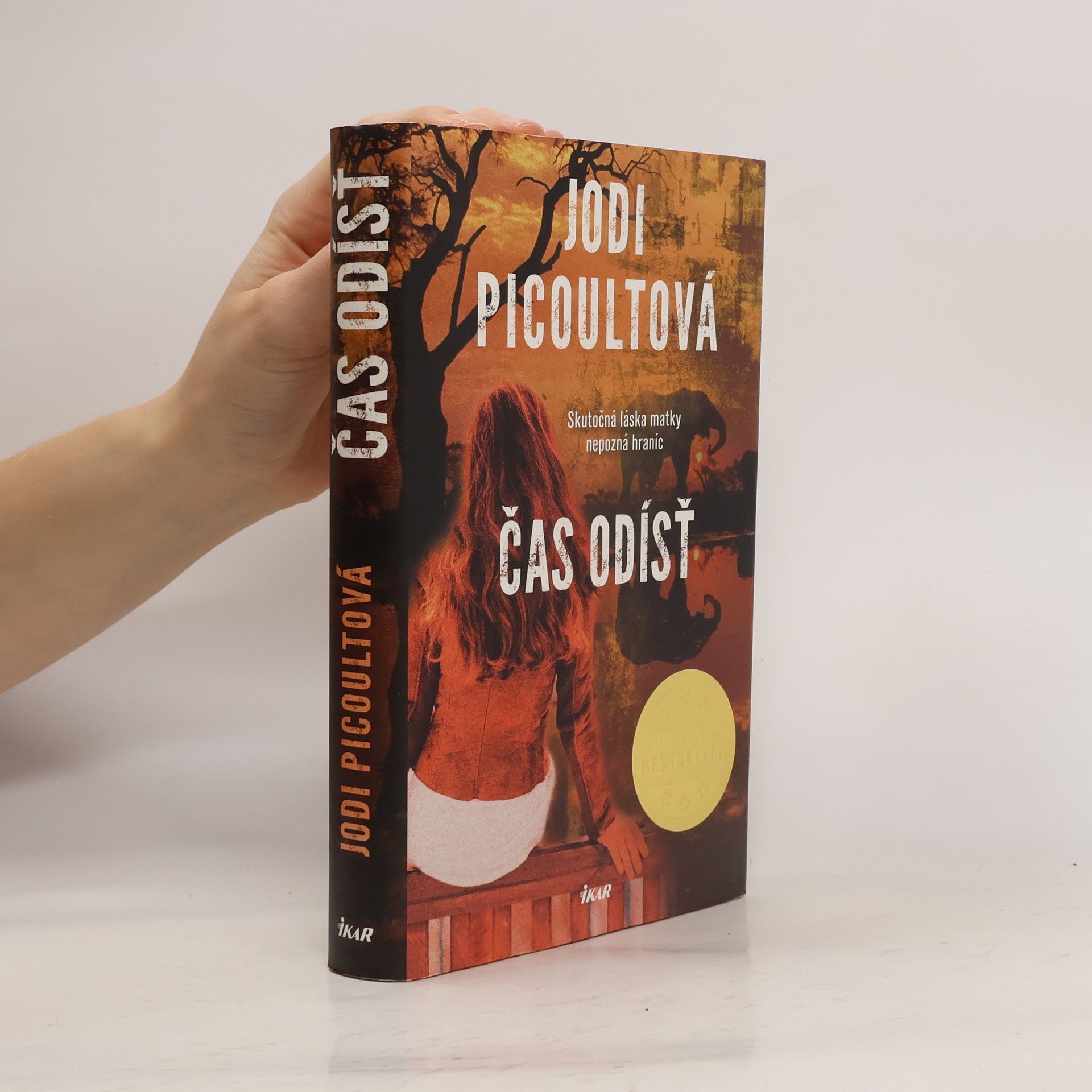 Jodi Picoult Čas odísť
