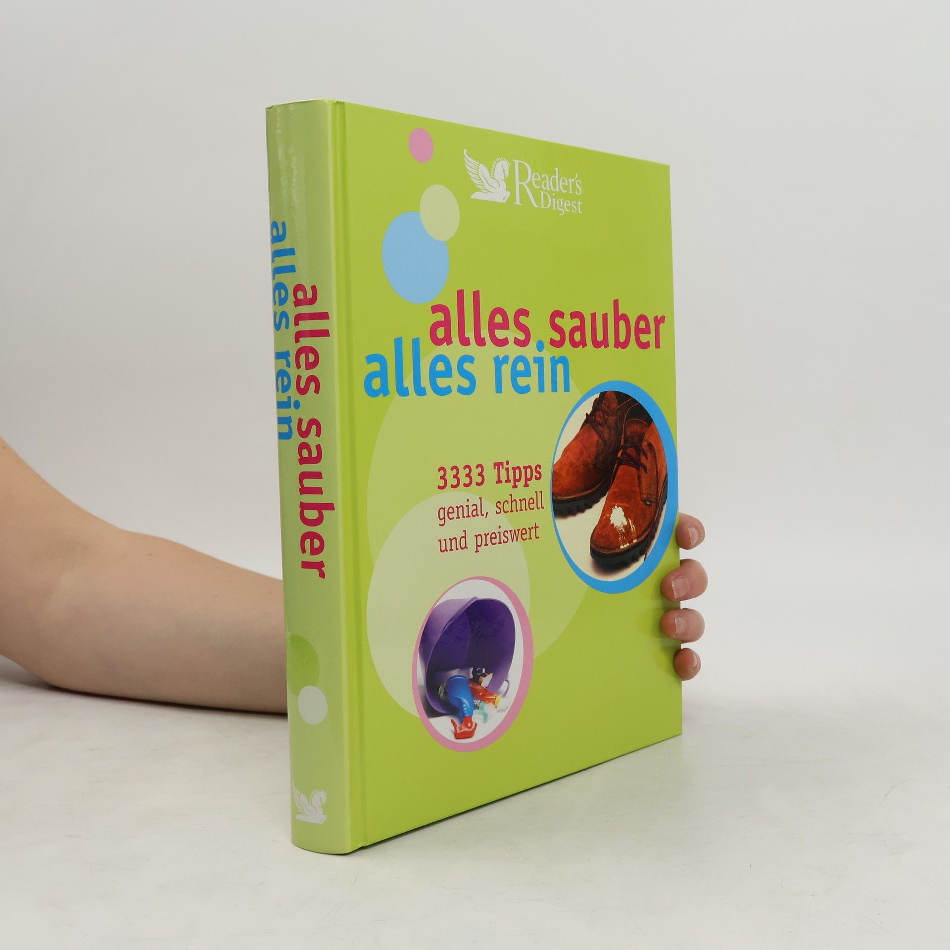 Judith Borgwart Alles sauber, alles rein