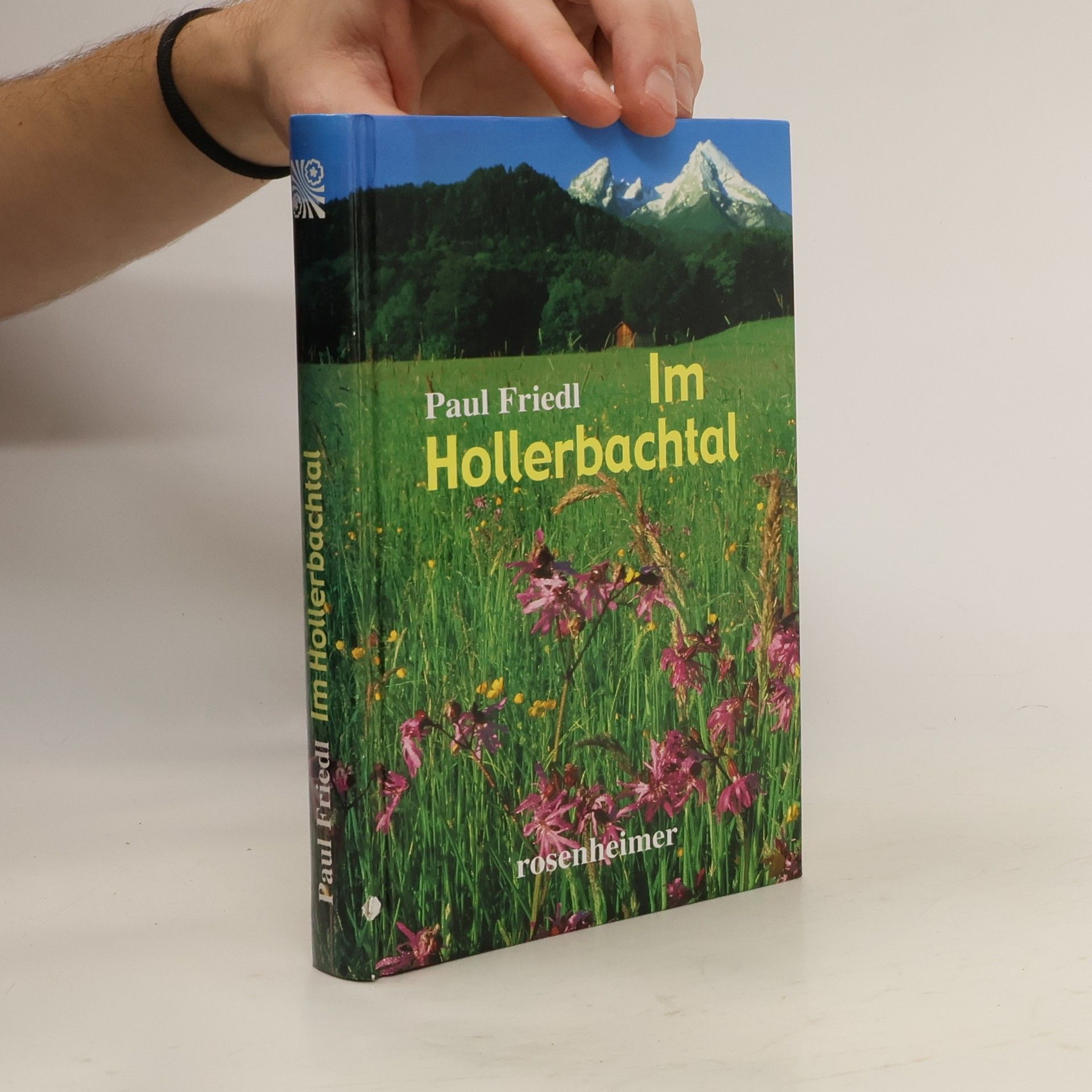 Paul Friedl Im Hollerbachtal