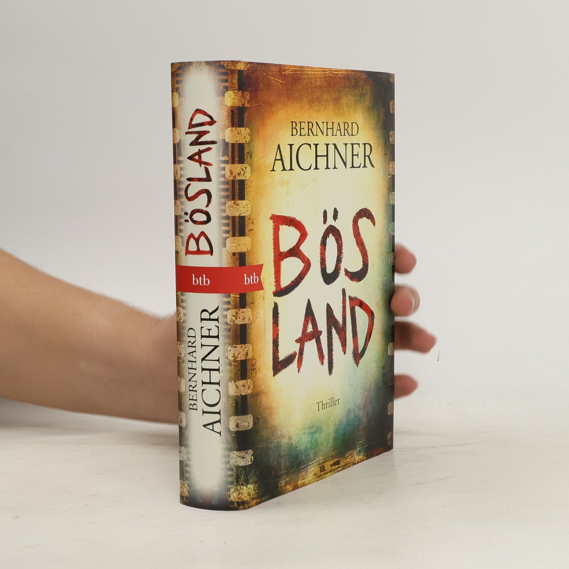 Bernhard Aichner Bösland