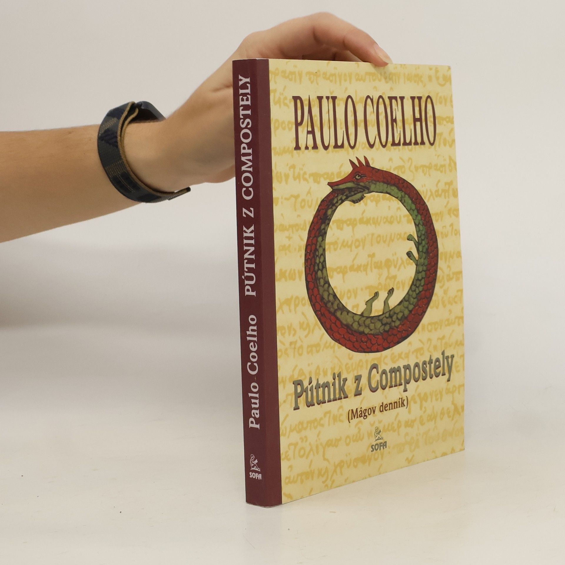 Paulo Coelho Pútnik z Compostely
