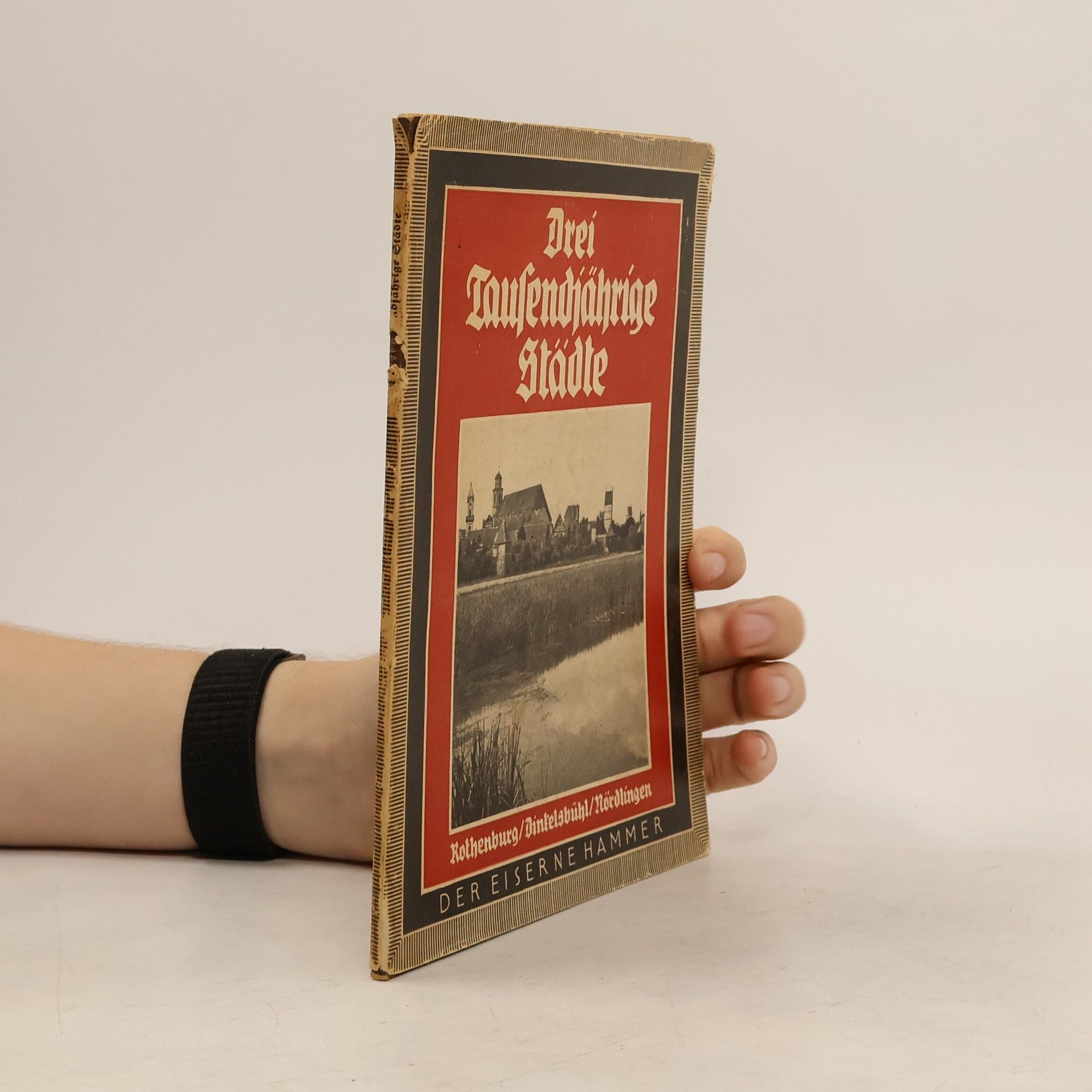 AA.VV. Drei tausendjährige Städte