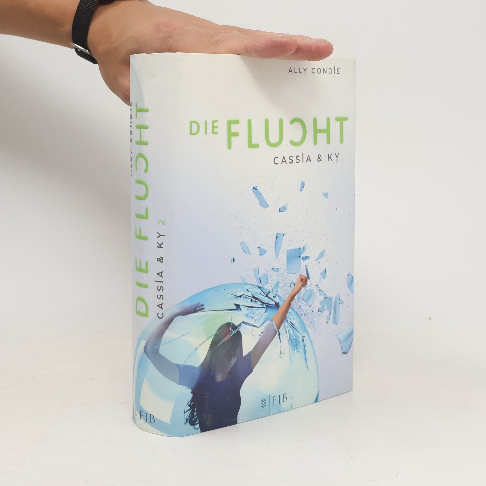 Allyson Braithwaite Condie Die Flucht