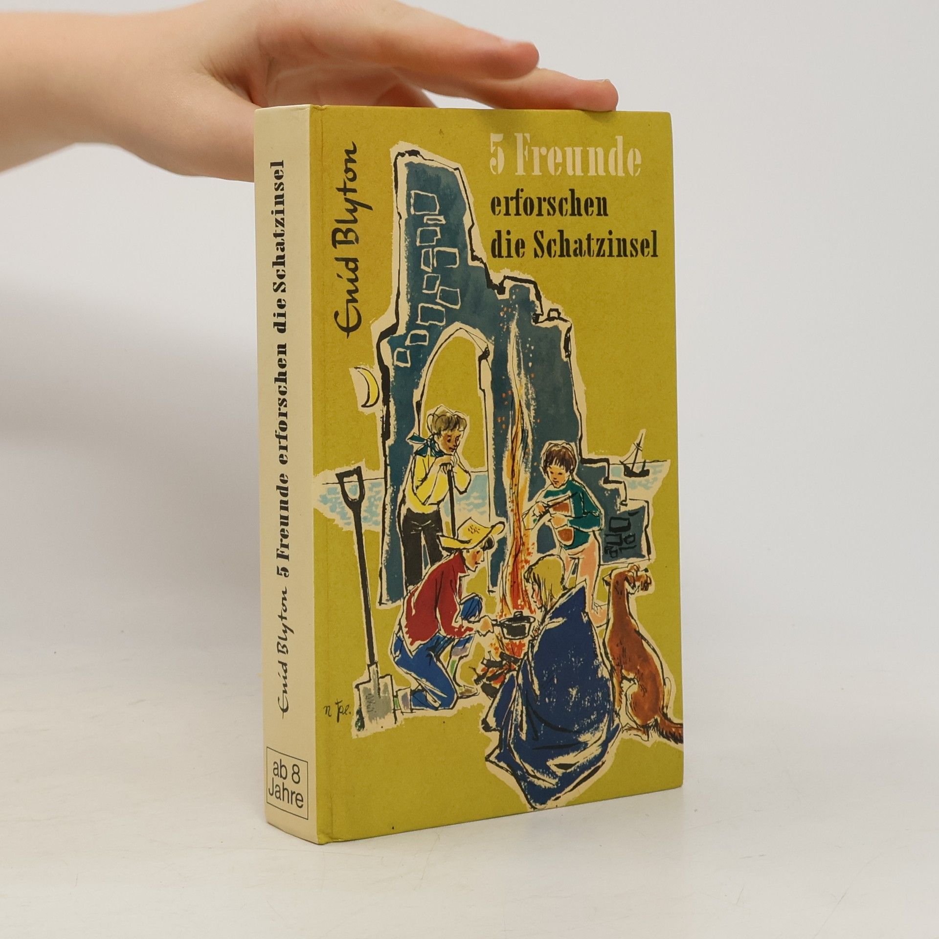 Enid Blyton 5 Freunde erforschen die Schatzinsel