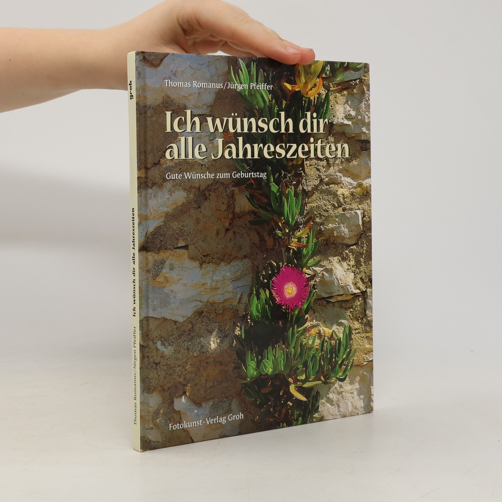 Thomas Romanus Ich wünsch dir alle Jahreszeiten