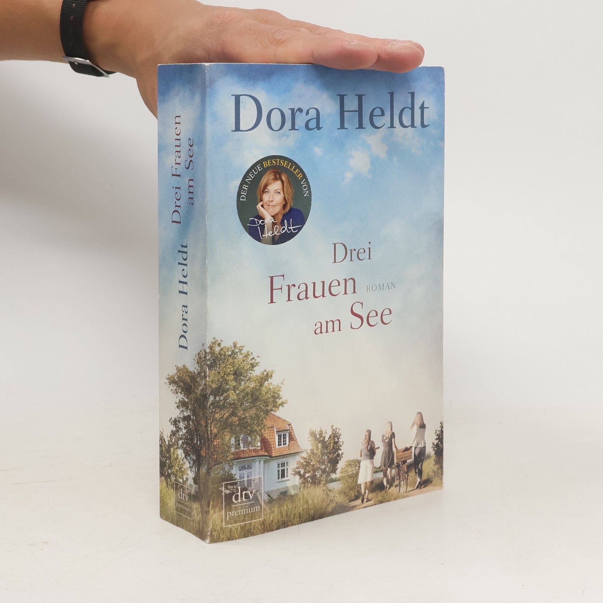 Dora Heldt Drei Frauen am See